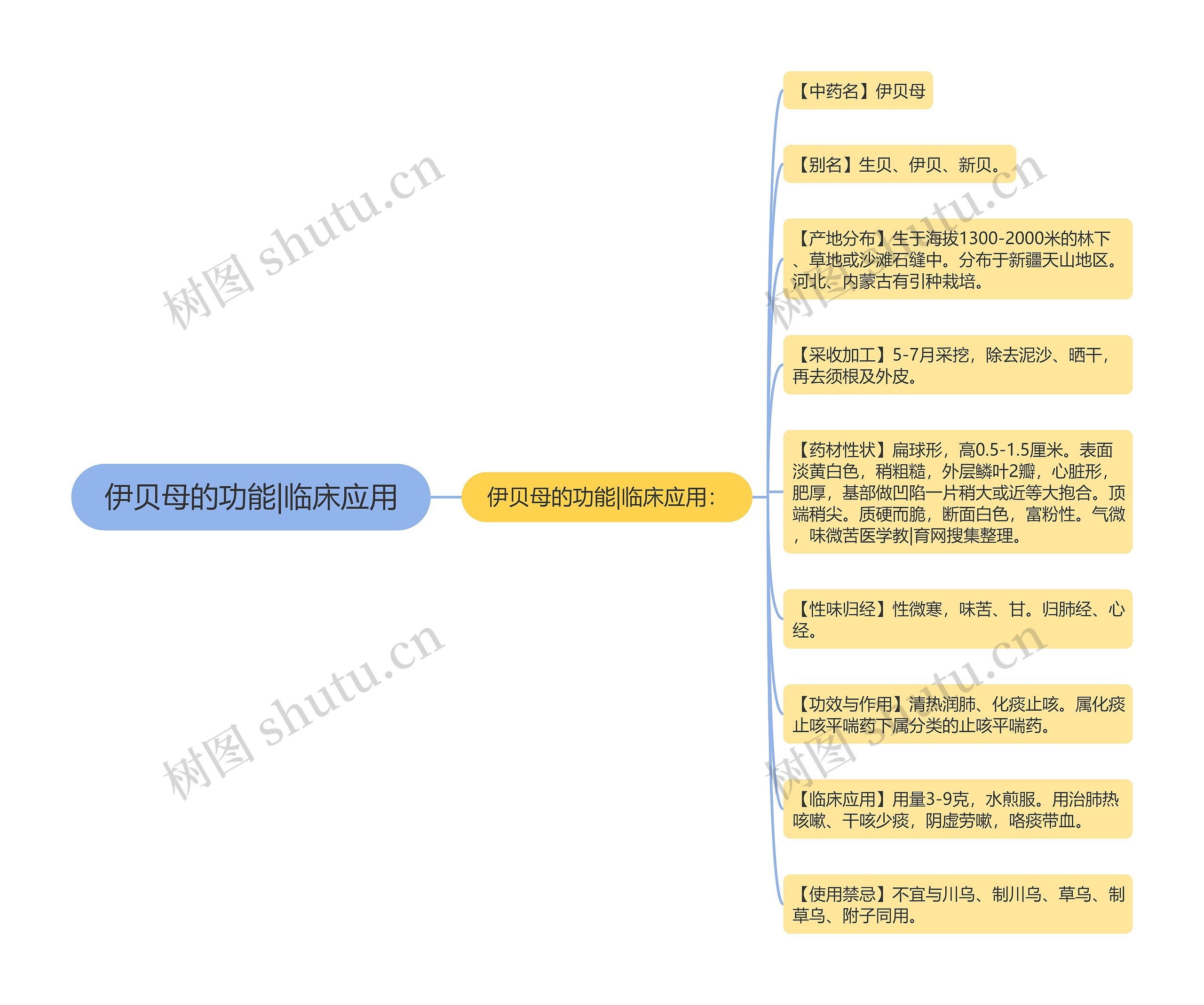 伊贝母的功能|临床应用 伊贝母的功能|临床应用