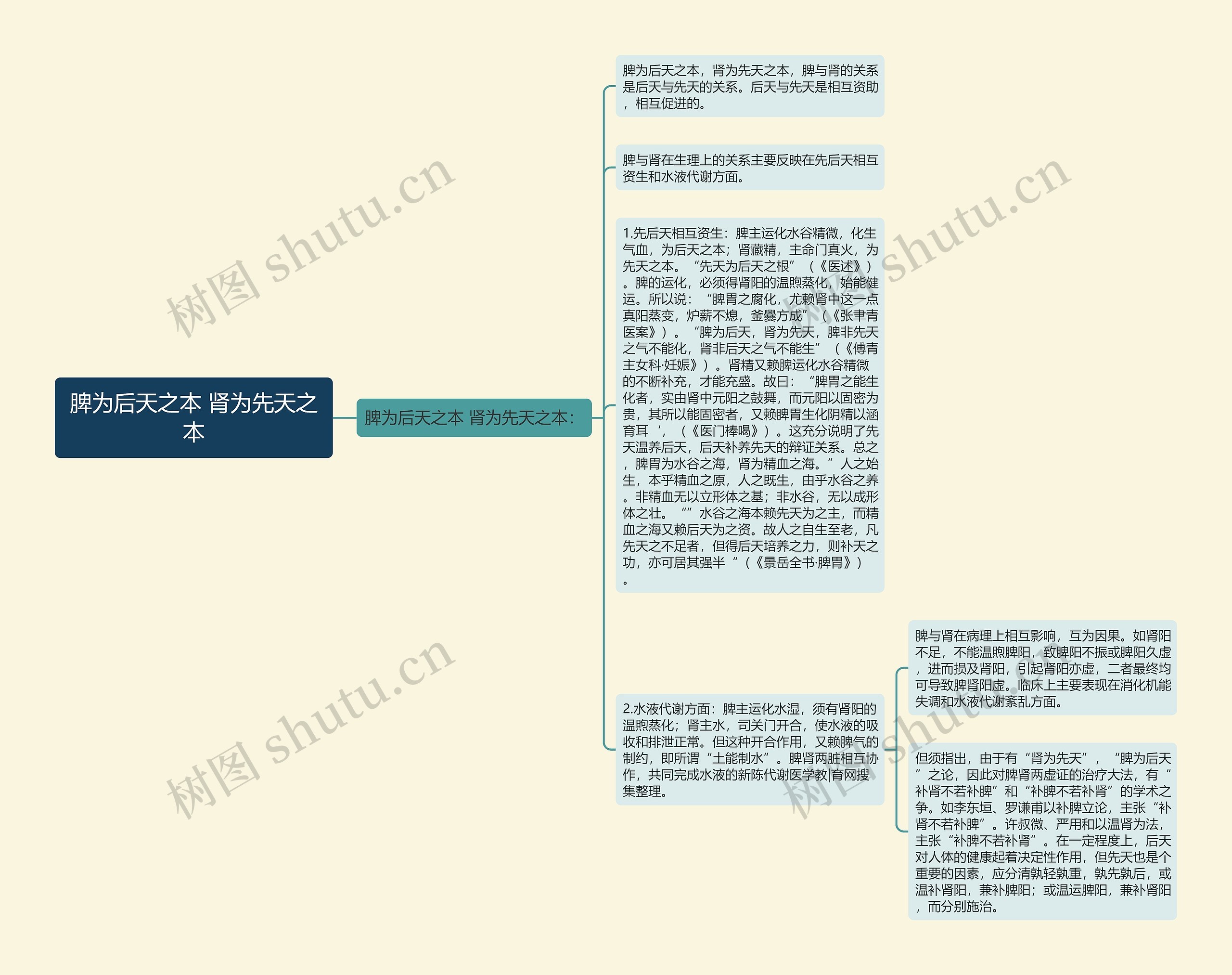 脾为后天之本 肾为先天之本思维导图