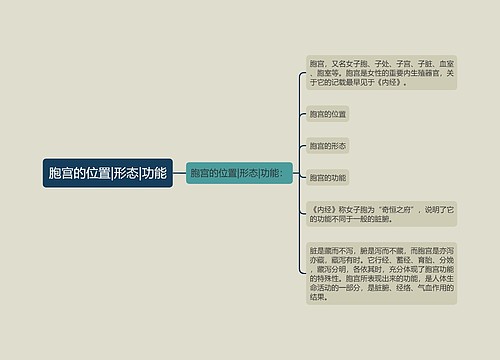 胞宫的位置|形态|功能