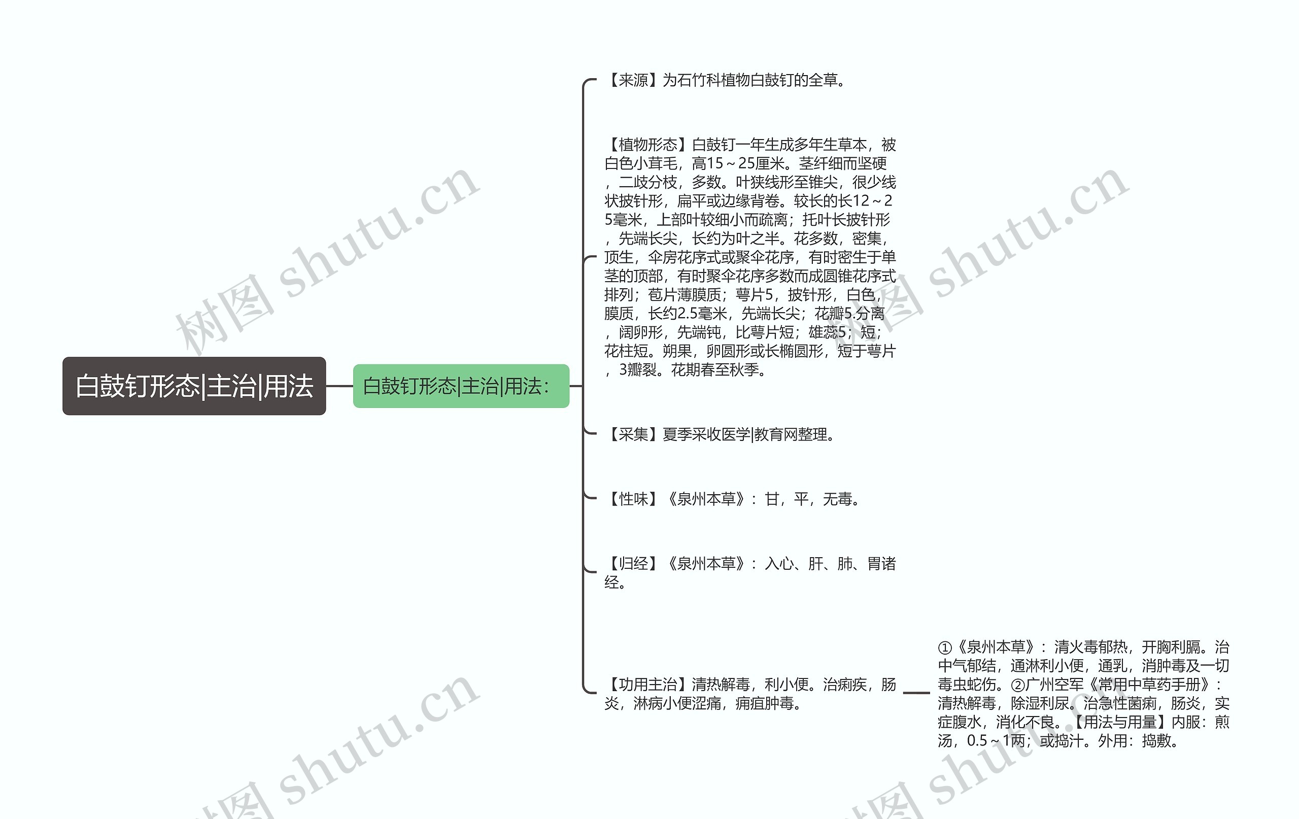 白鼓钉形态|主治|用法思维导图
