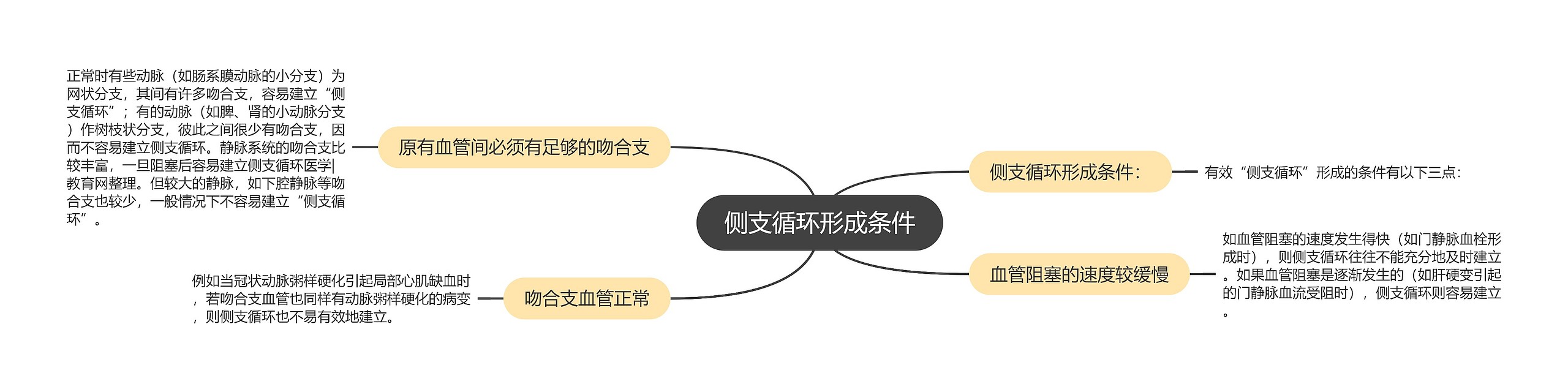 侧支循环形成条件思维导图