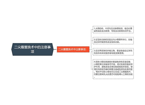 二尖瓣置换术中的注意事项