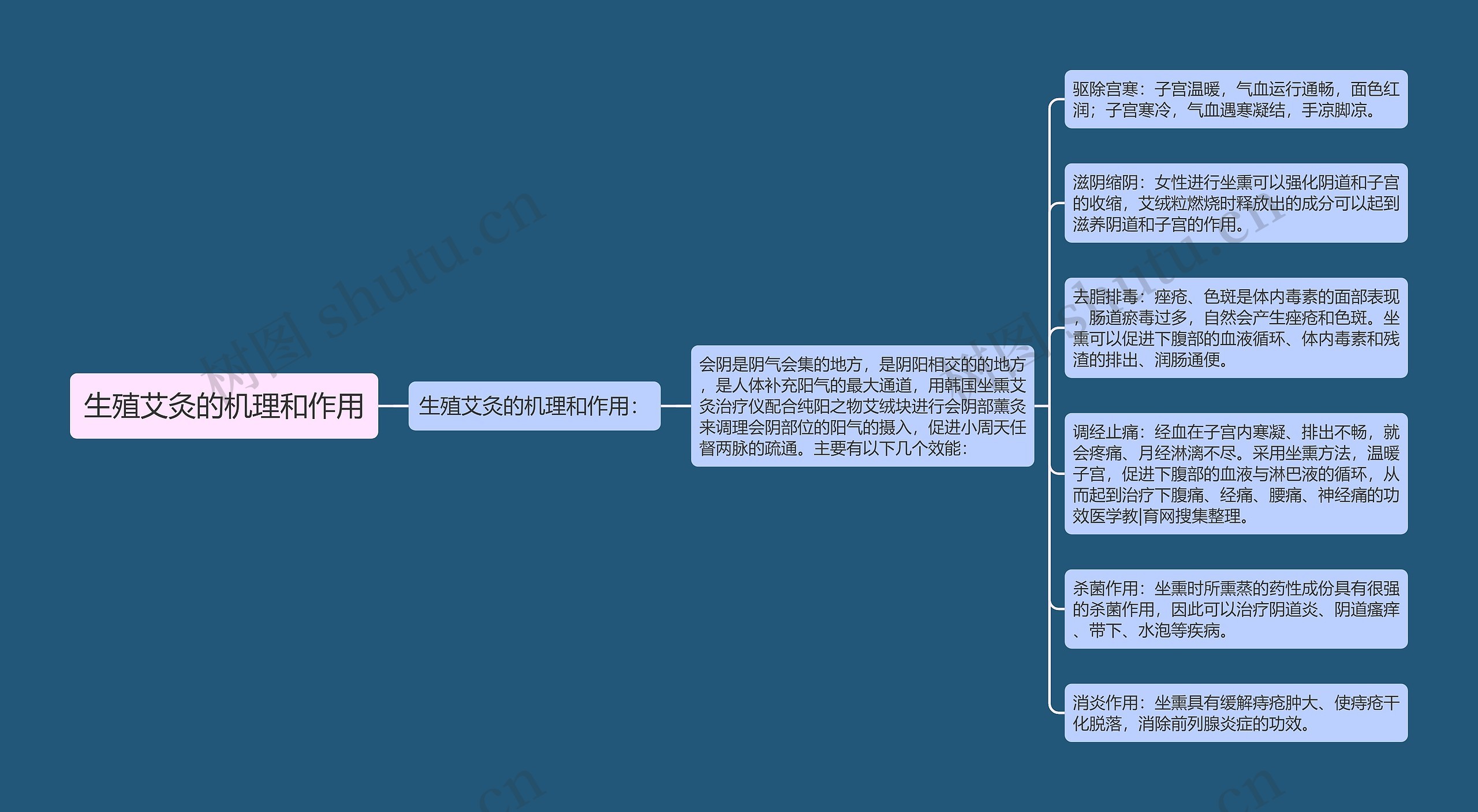 生殖艾灸的机理和作用思维导图