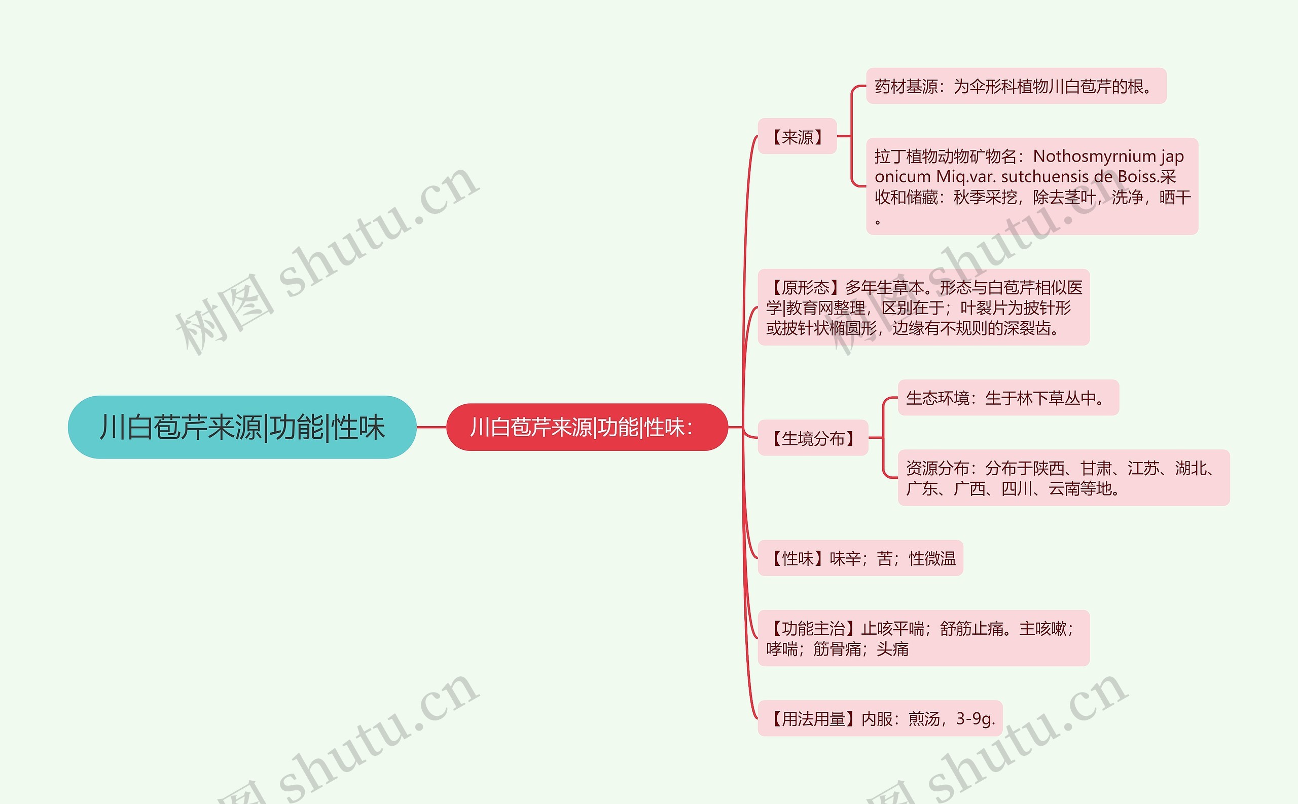 川白苞芹来源|功能|性味思维导图