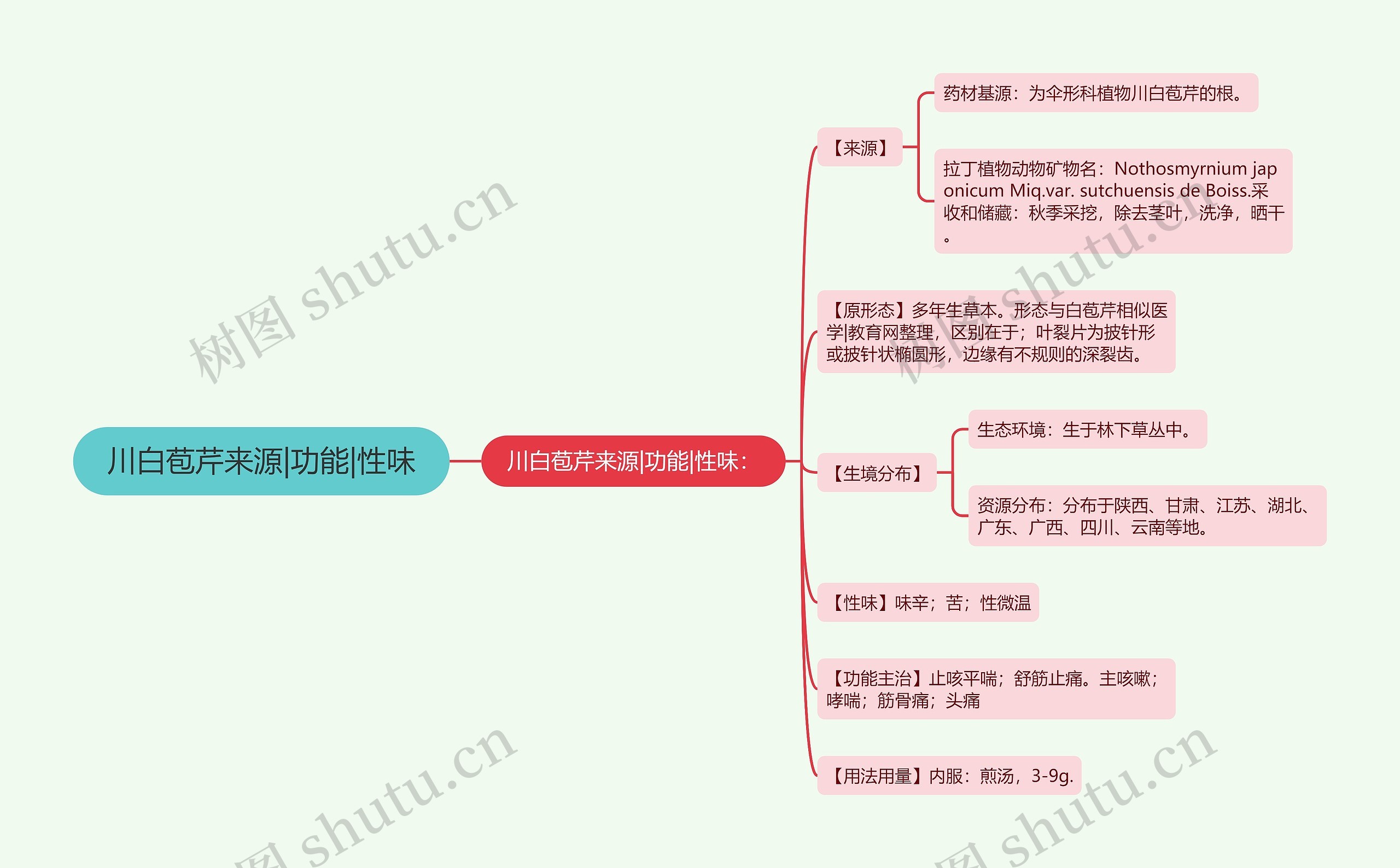 川白苞芹来源|功能|性味 川白苞芹来源|功能|性味