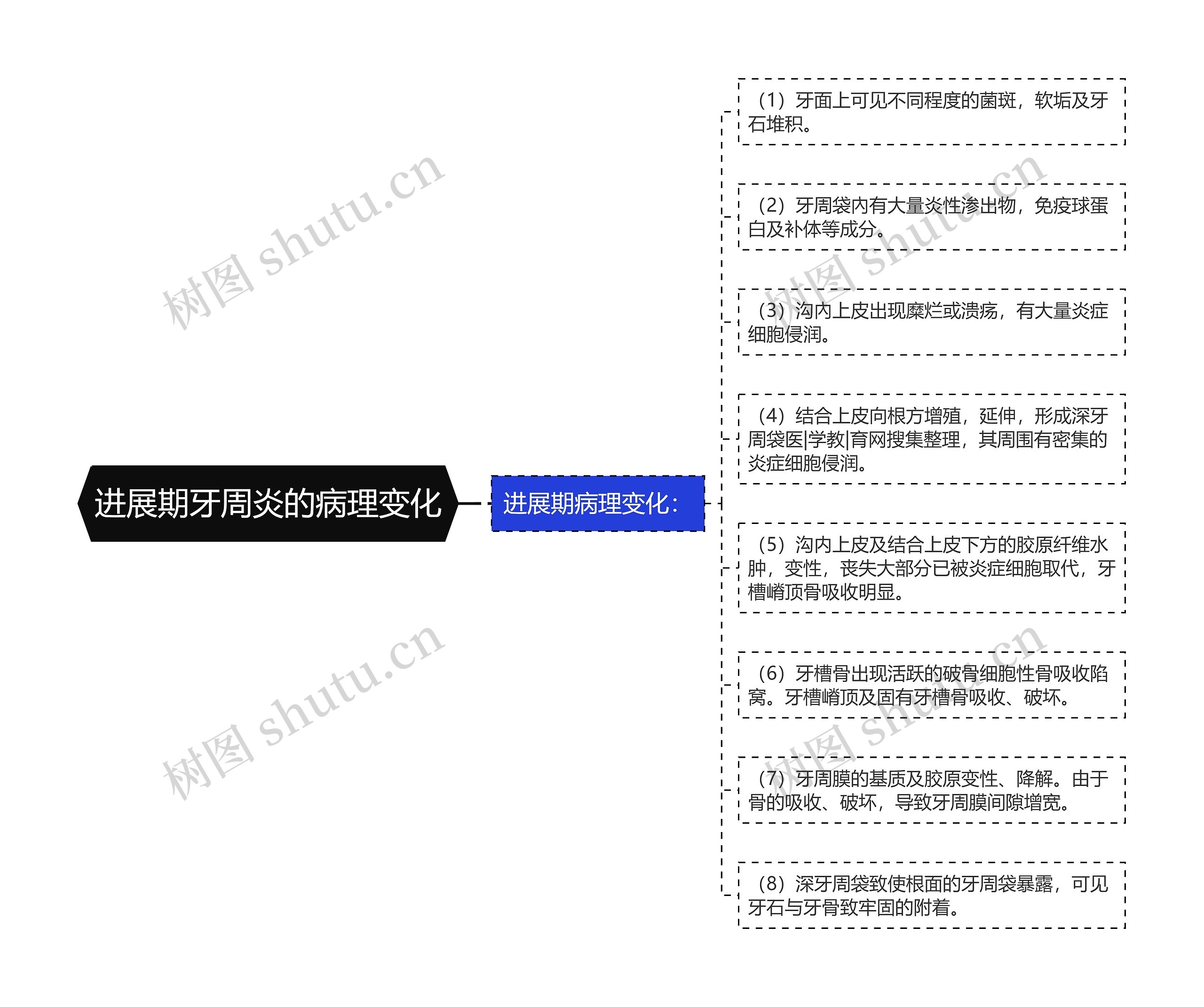 进展期牙周炎的病理变化思维导图