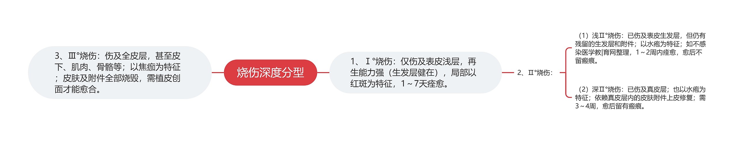 烧伤深度分型 烧伤深度分型