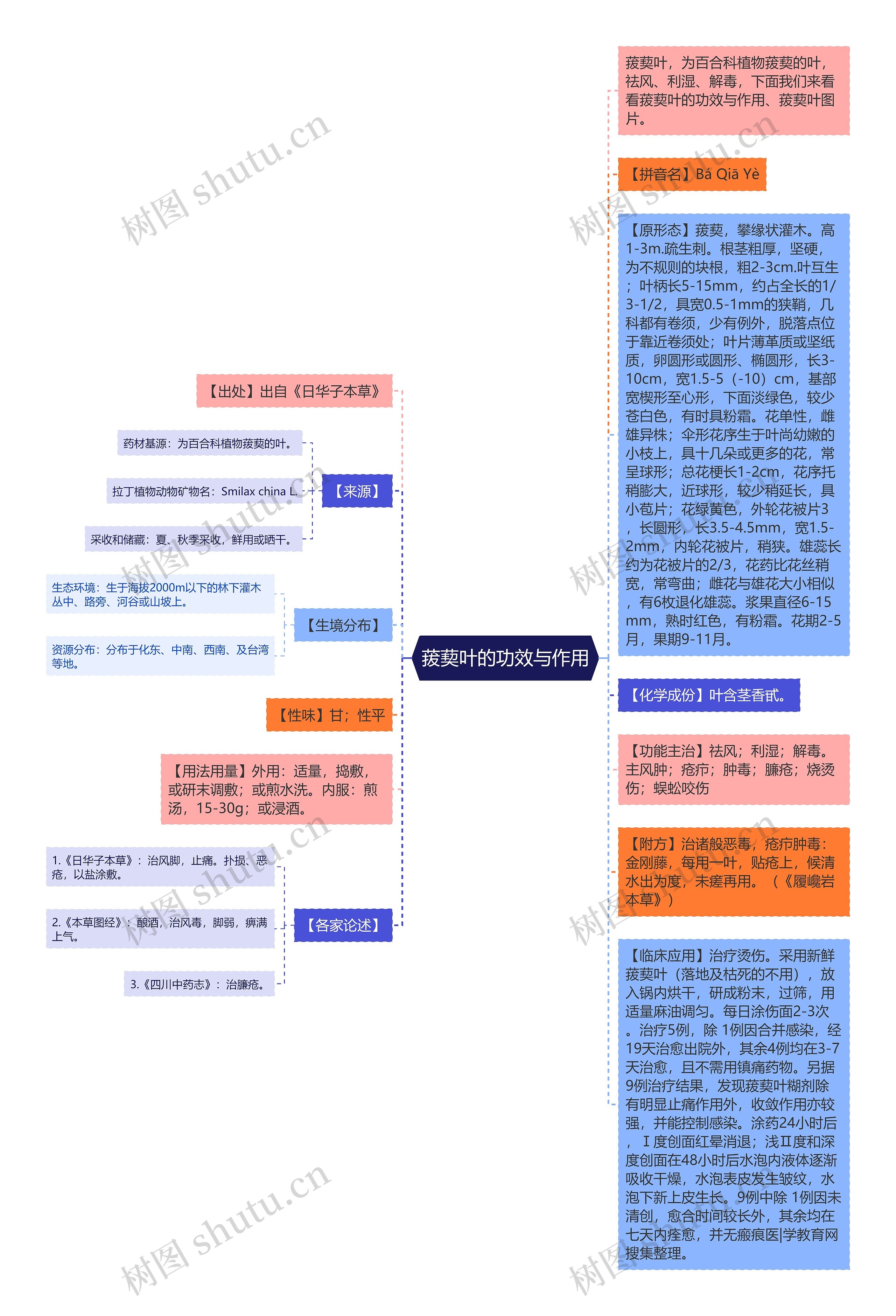 菝葜叶的功效与作用思维导图