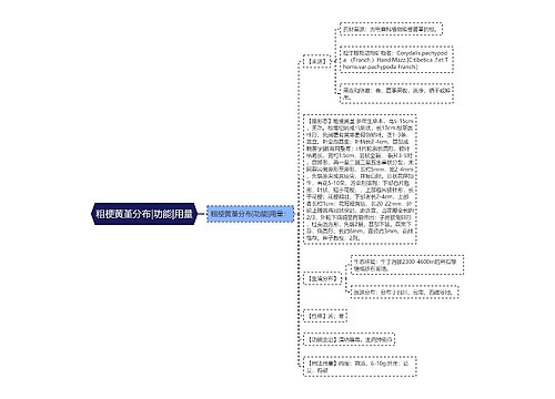 粗梗黄堇分布|功能|用量