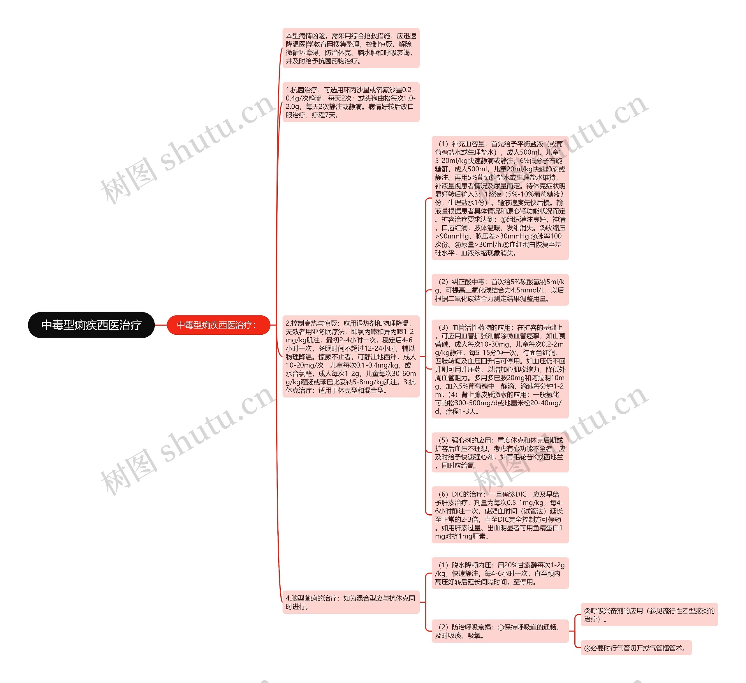 中毒型痢疾西医治疗思维导图