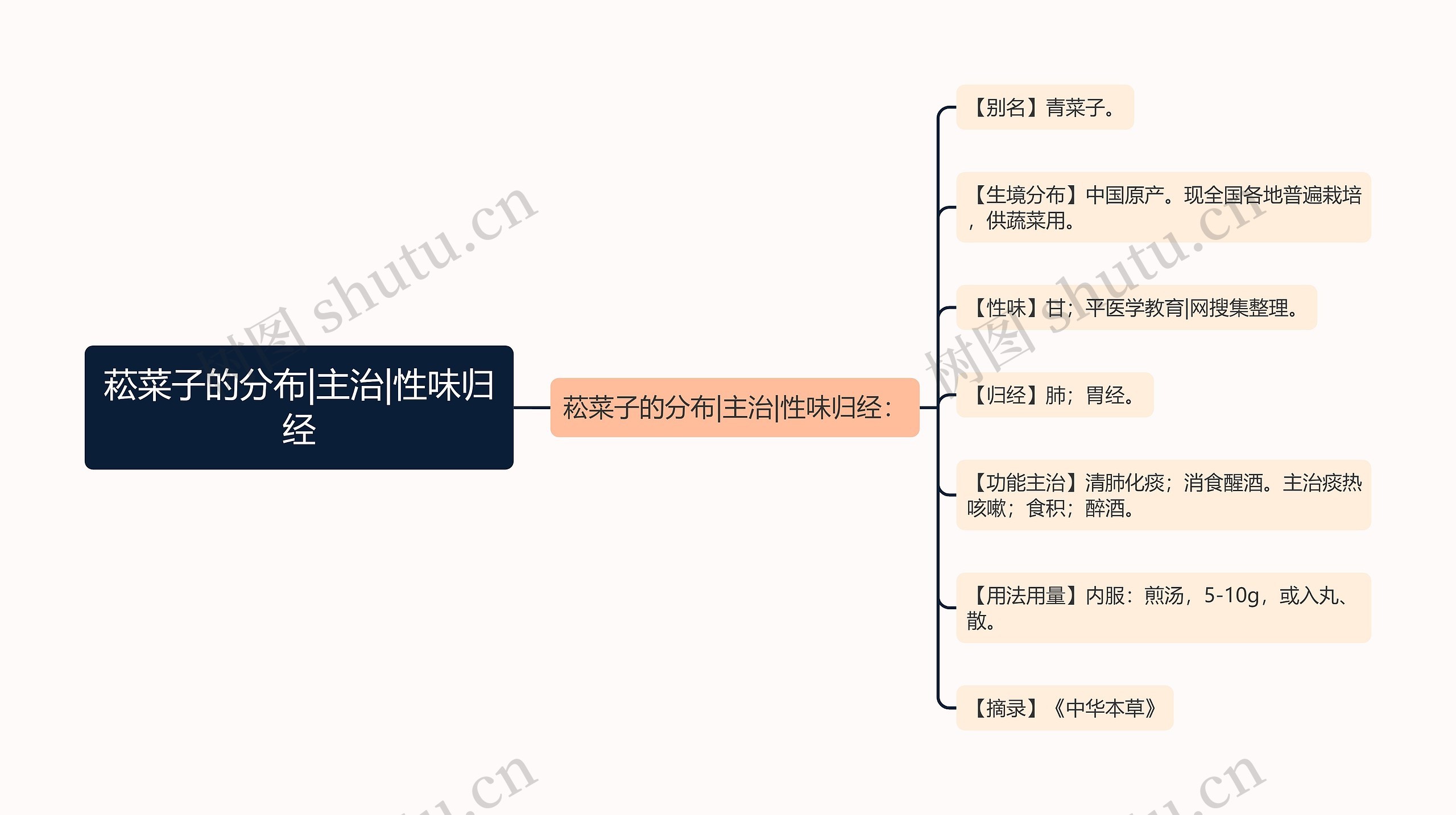 菘菜子的分布|主治|性味归经思维导图