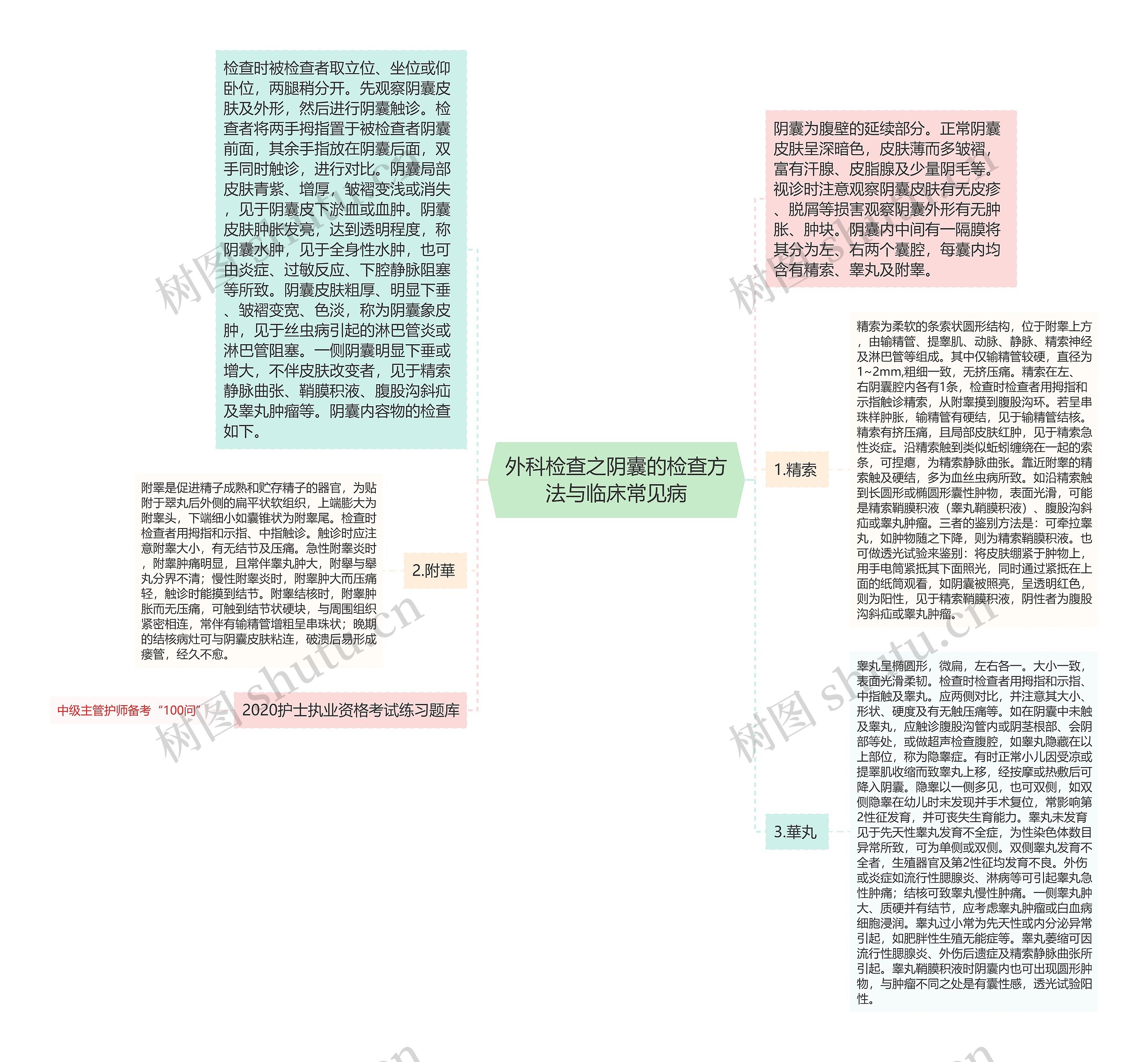 外科检查之阴囊的检查方法与临床常见病思维导图