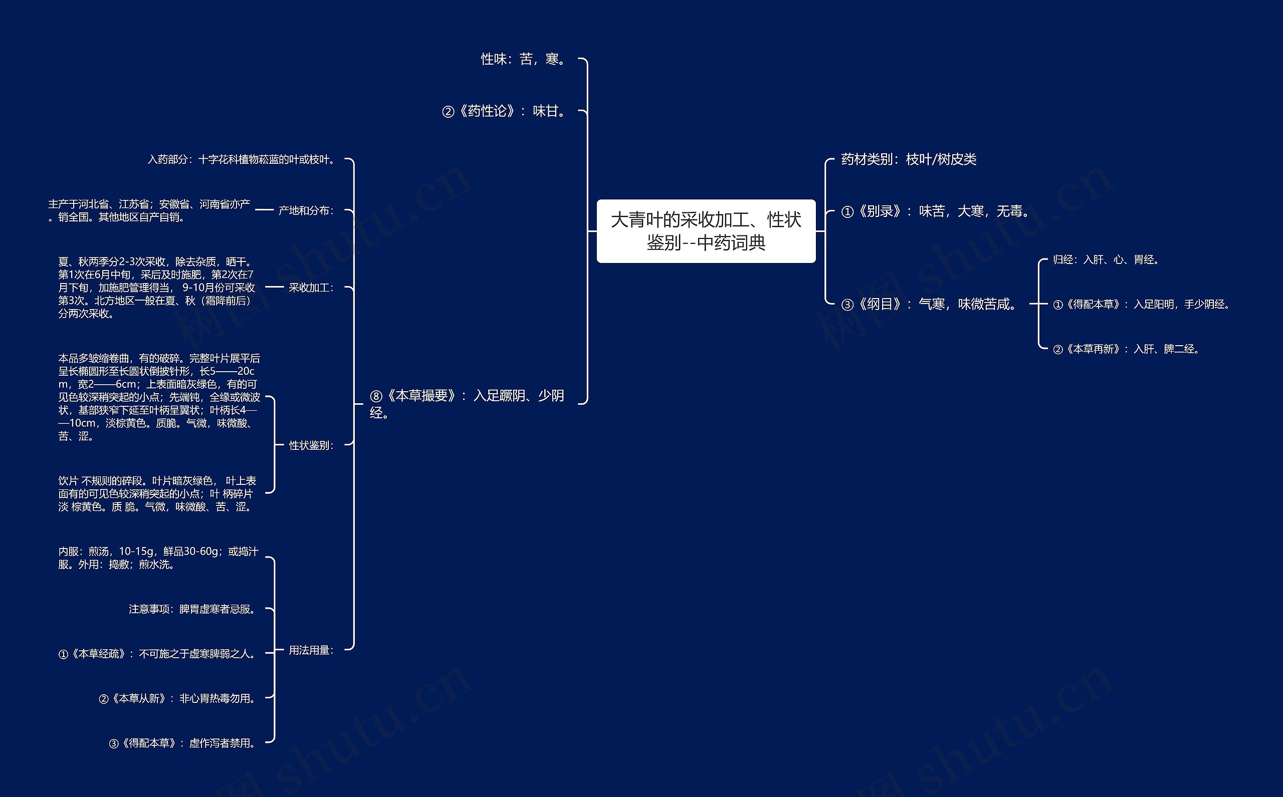 大青叶的采收加工、性状鉴别--中药词典思维导图
