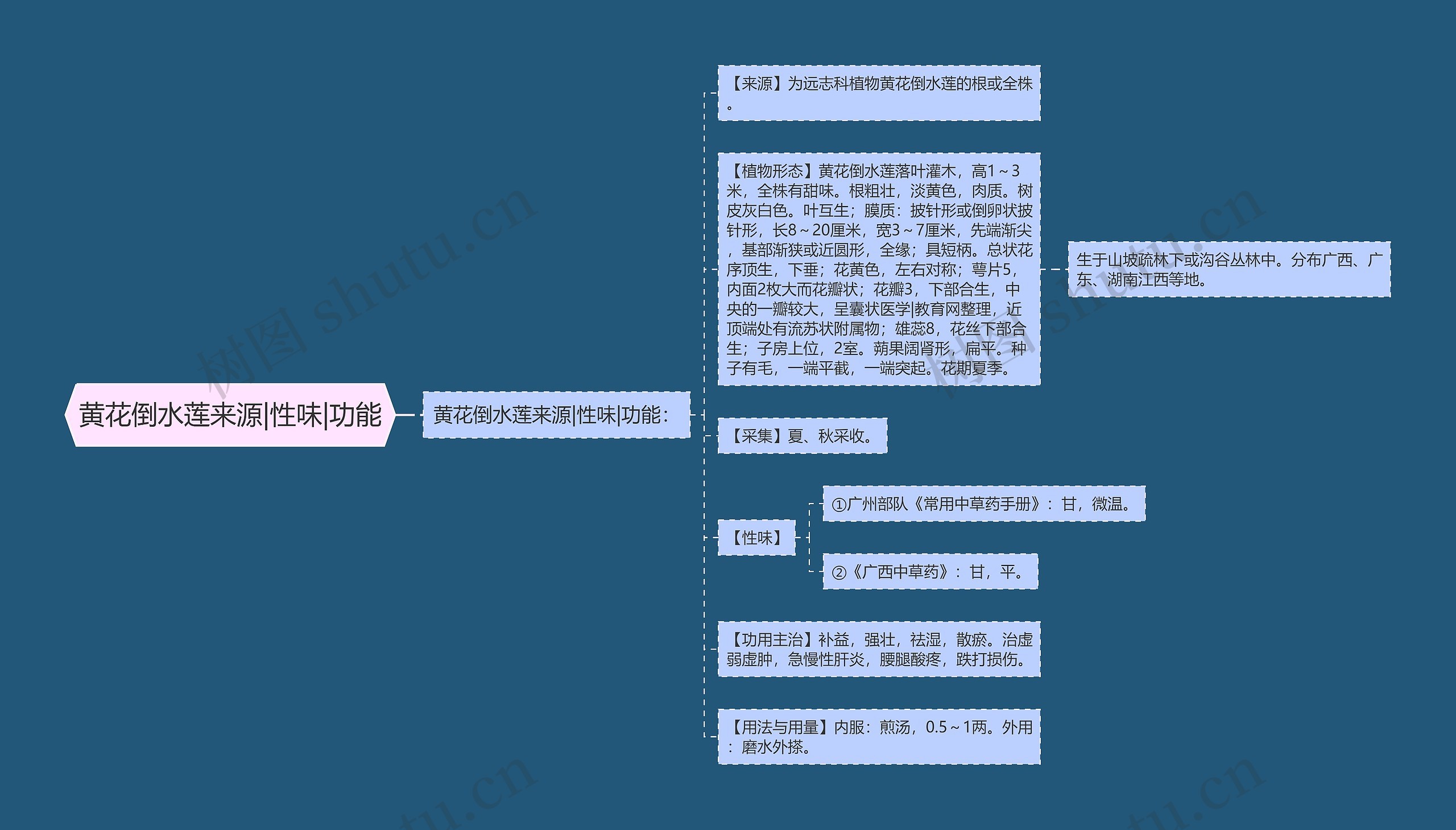 黄花倒水莲来源|性味|功能思维导图