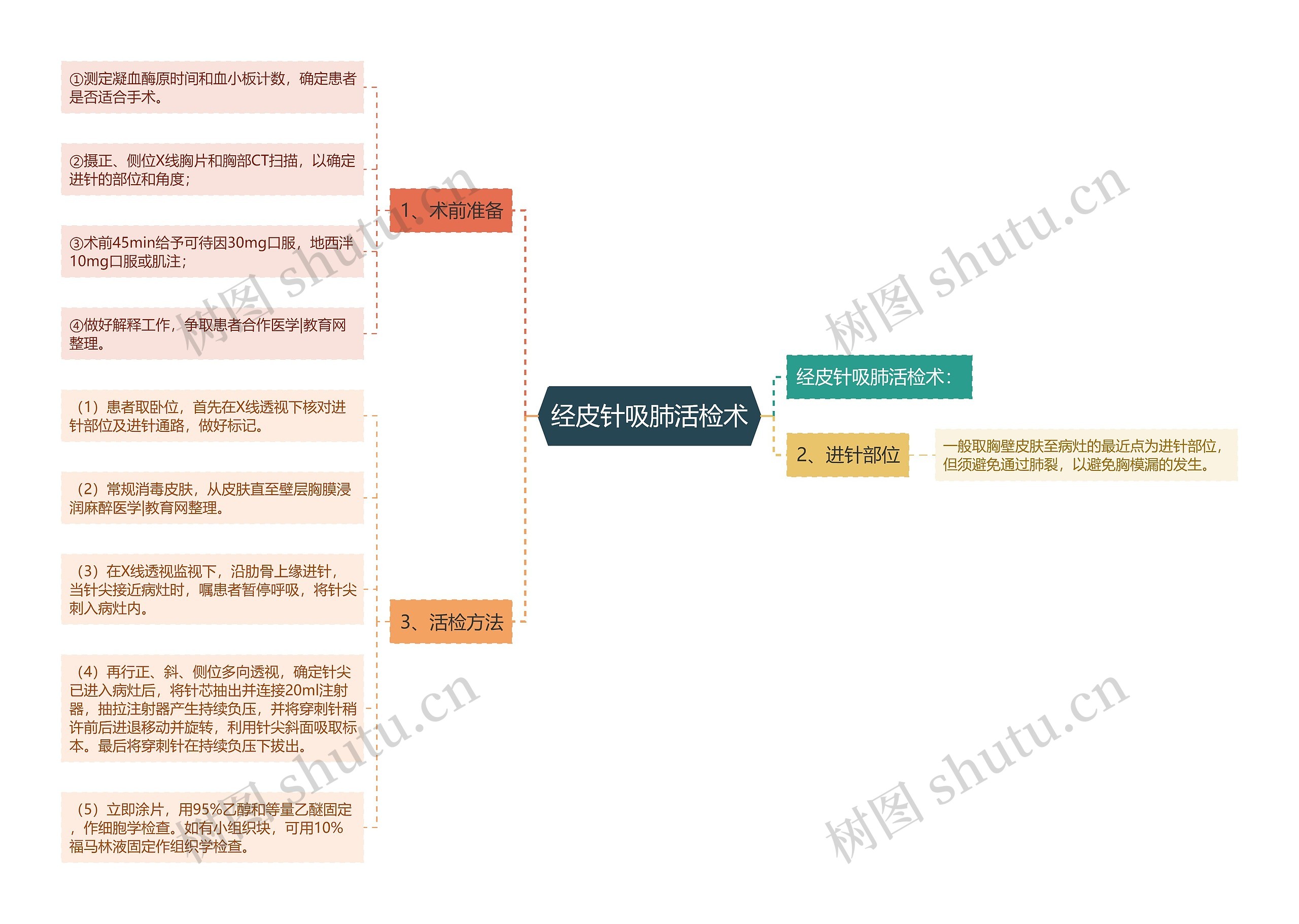 经皮针吸肺活检术思维导图