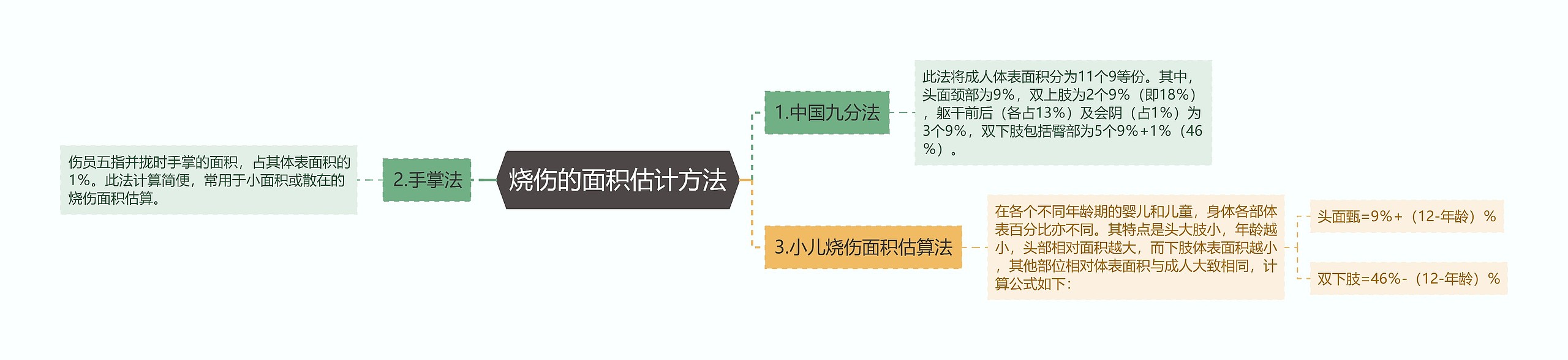 烧伤的面积估计方法