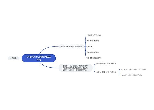 心电学技术之隔缘肉柱的作用