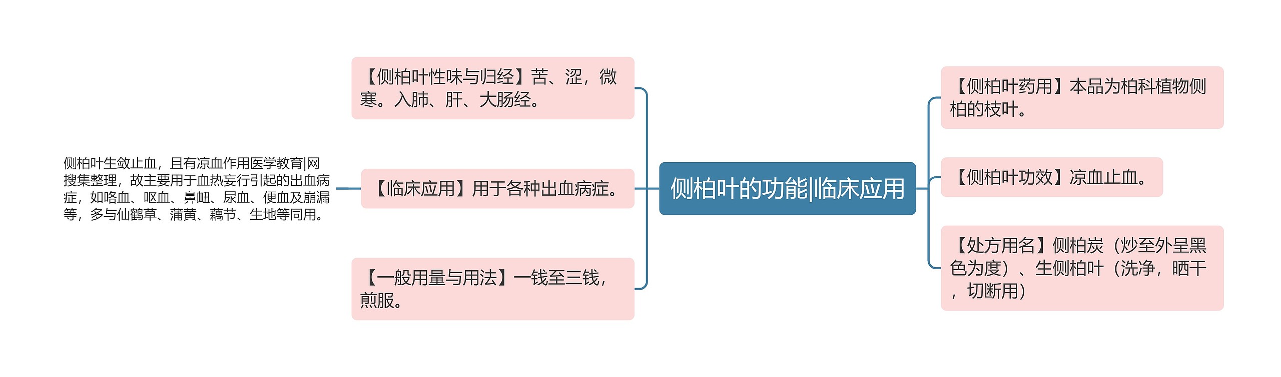 侧柏叶的功能|临床应用思维导图