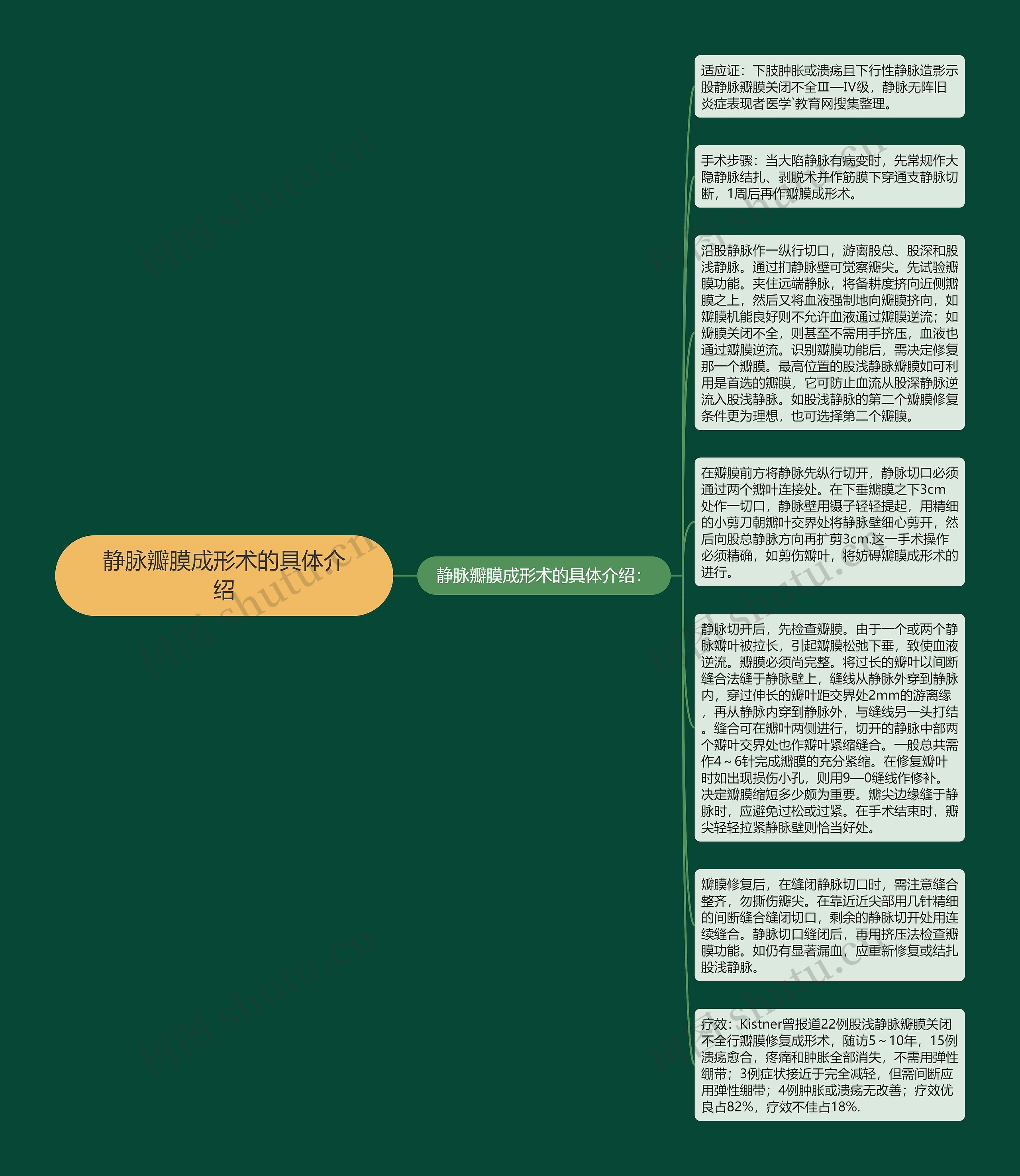 静脉瓣膜成形术的具体介绍