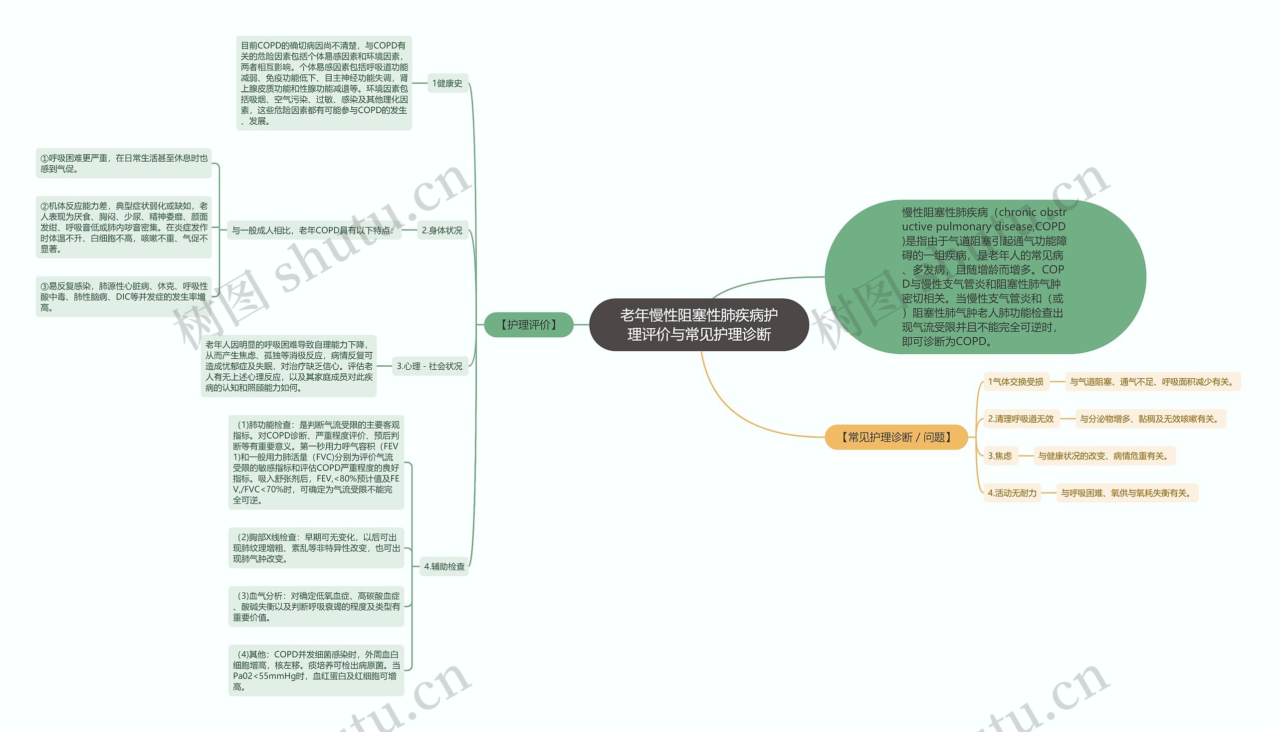 老年慢性阻塞性肺疾病护理评价与常见护理诊断思维导图