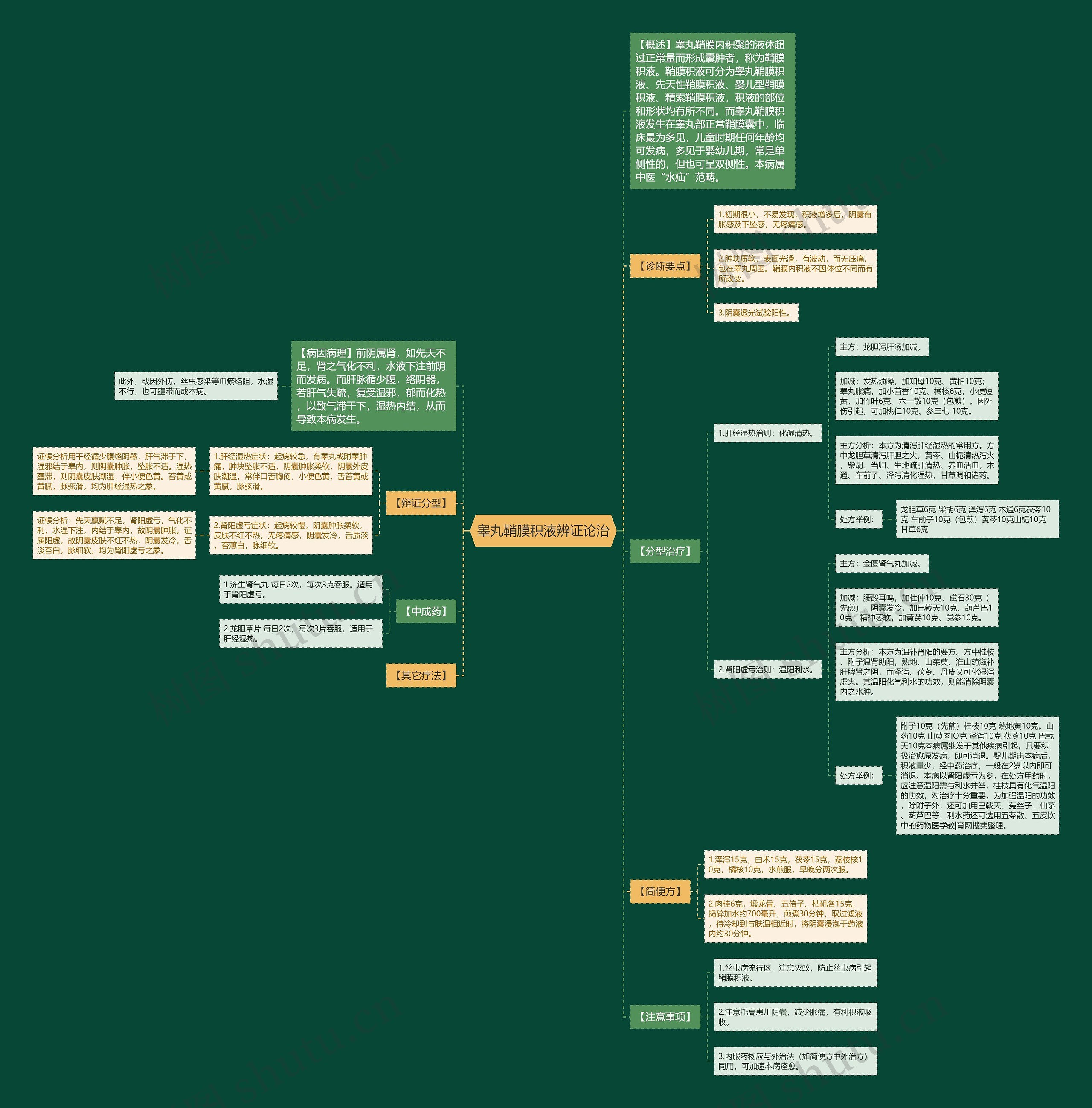 睾丸鞘膜积液辨证论治 睾丸鞘膜积液辨证论治