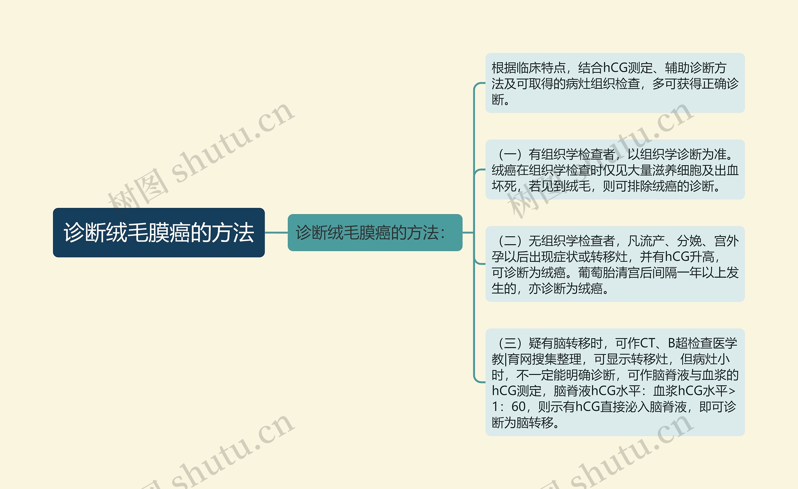 诊断绒毛膜癌的方法思维导图