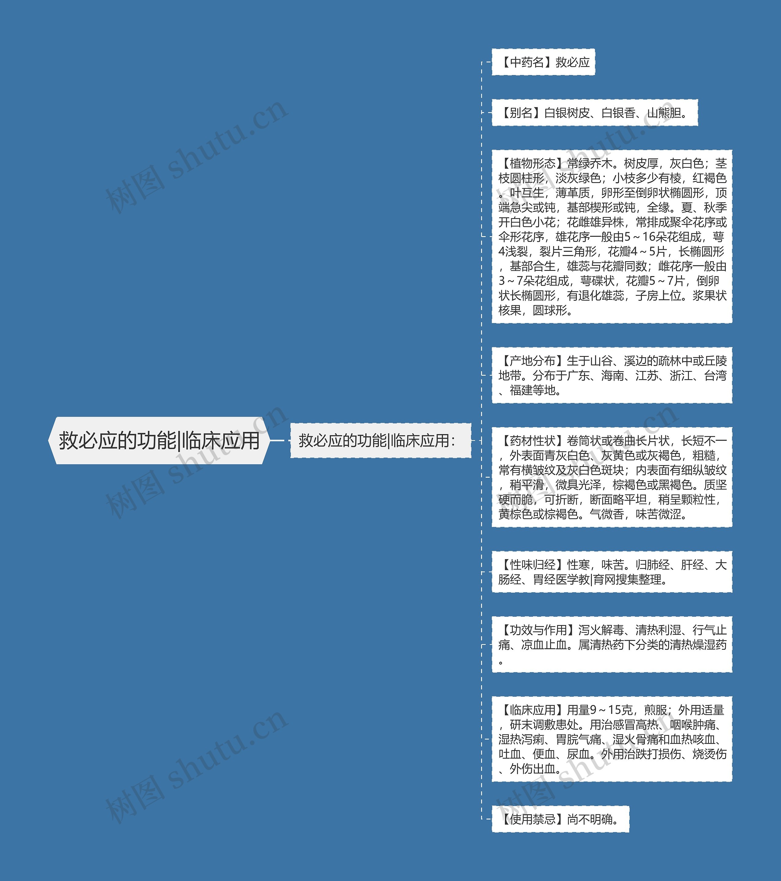 救必应的功能|临床应用思维导图