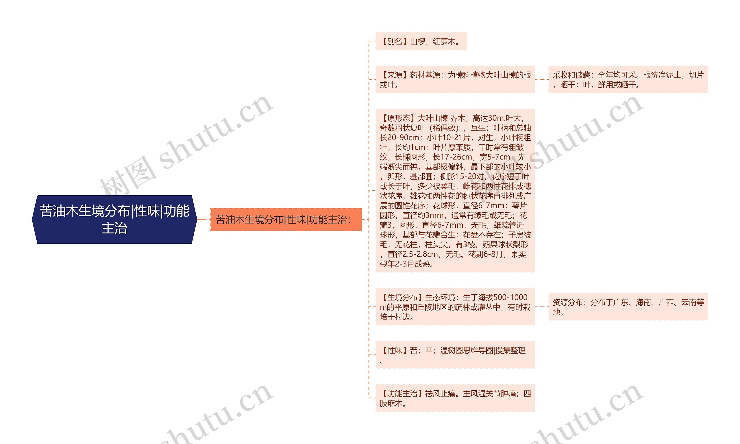 苦油木生境分布|性味|功能主治