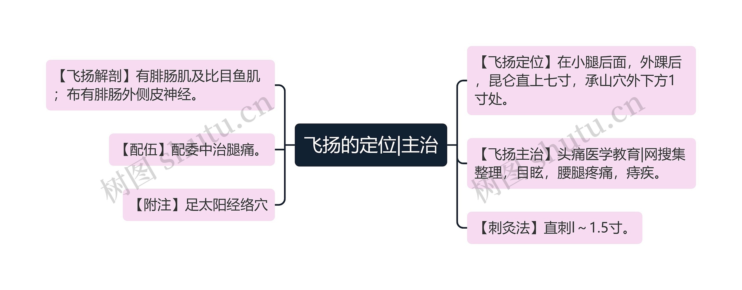 飞扬的定位|主治思维导图