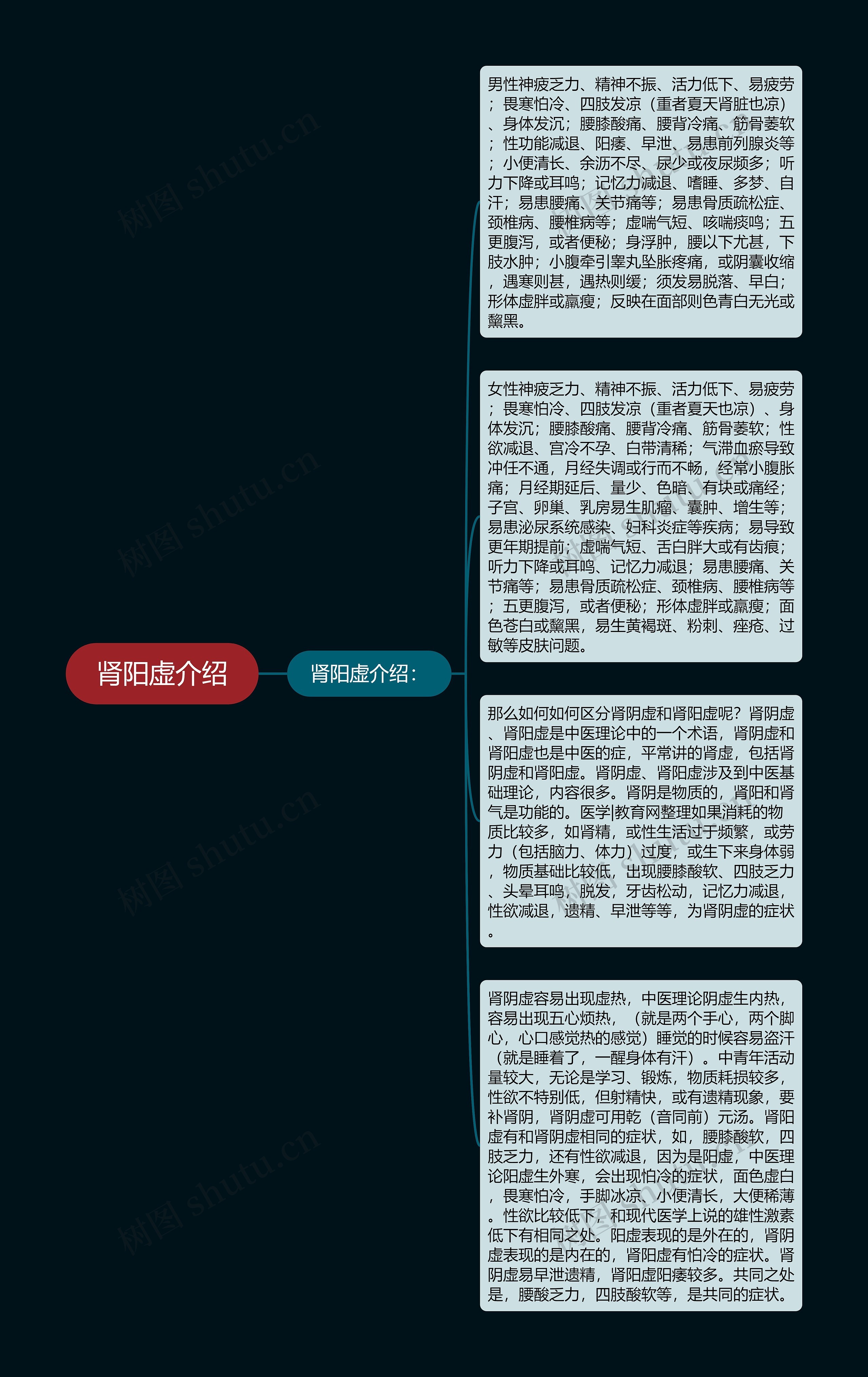 肾阳虚介绍