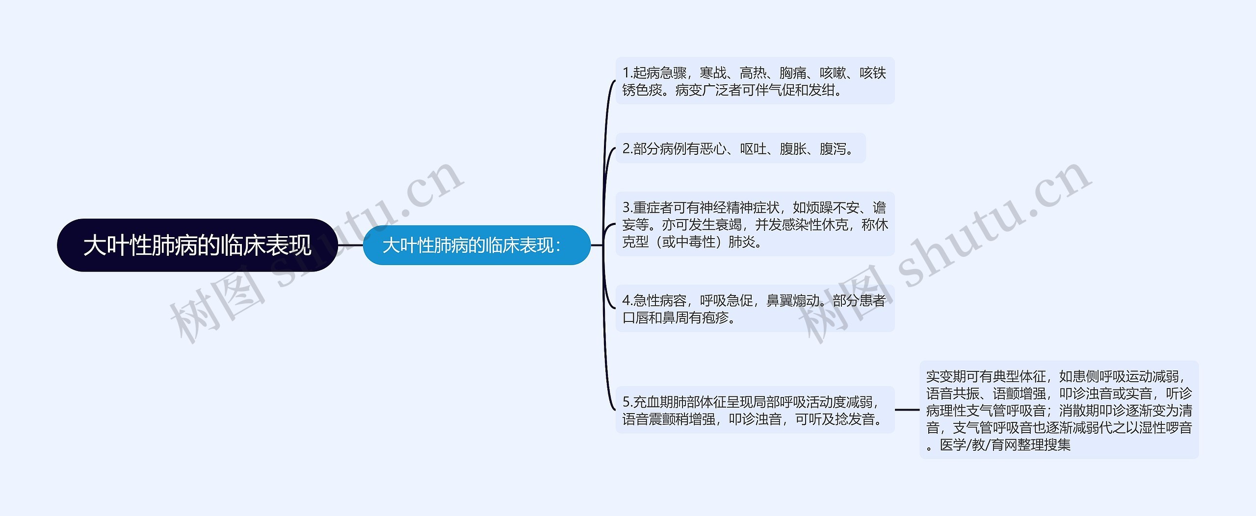 大叶性肺病的临床表现