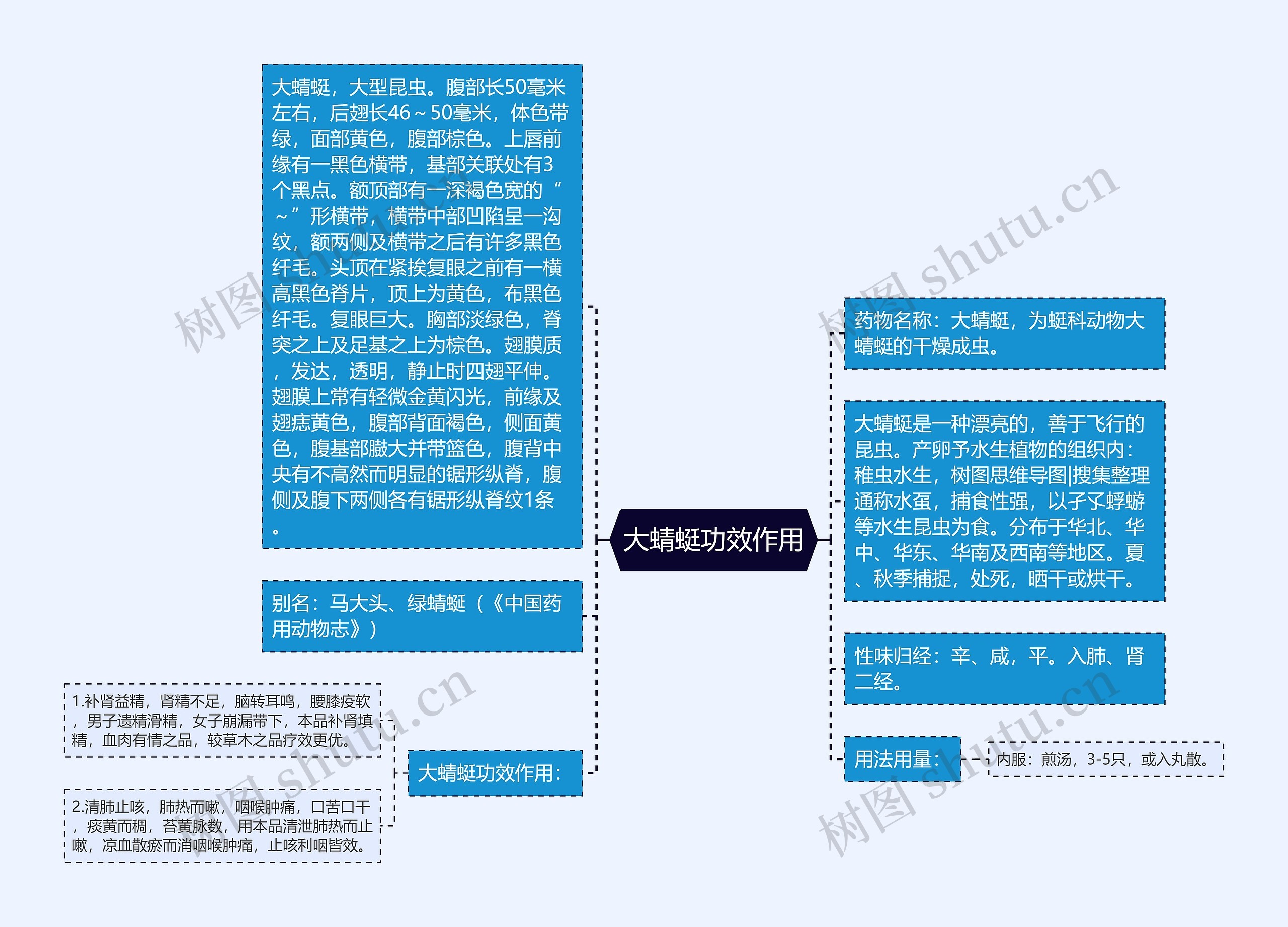 大蜻蜓功效作用思维导图