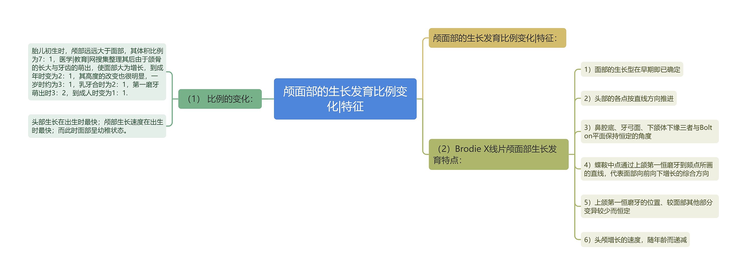 颅面部的生长发育比例变化|特征思维导图