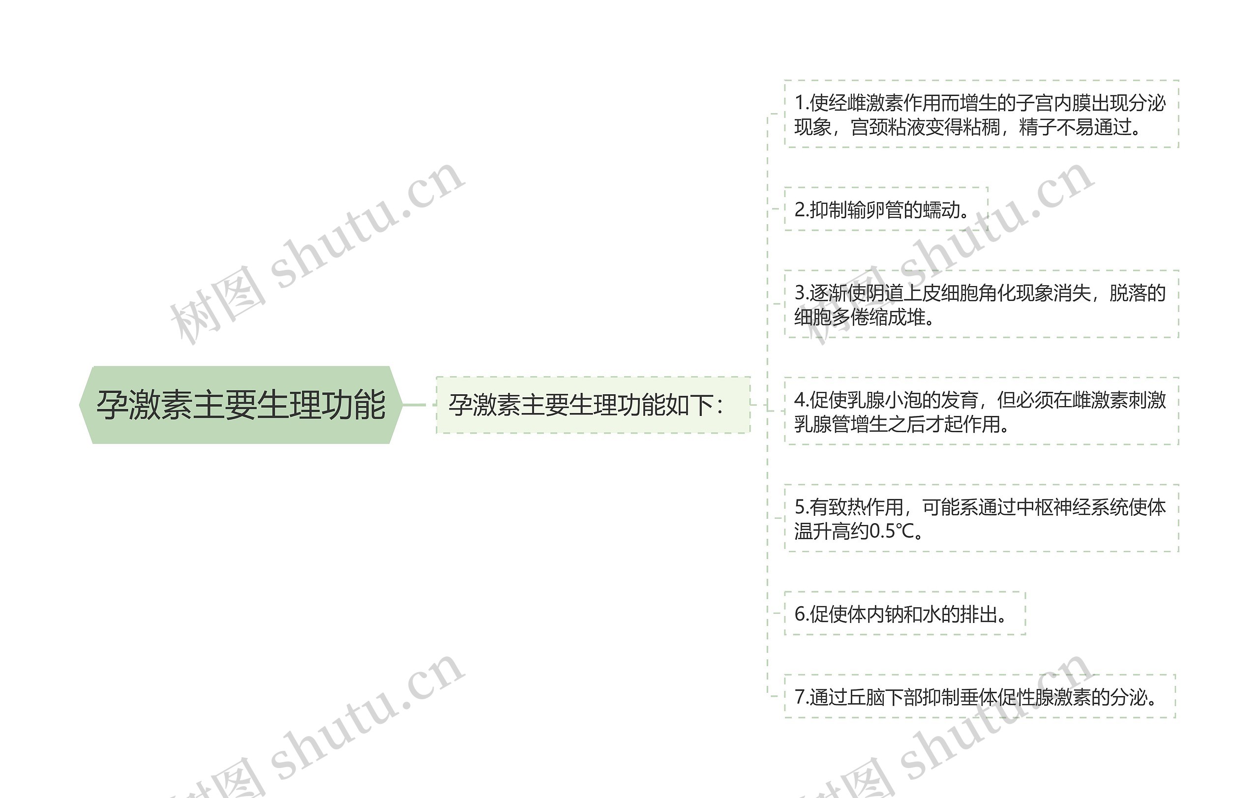 孕激素主要生理功能 孕激素主要生理功能