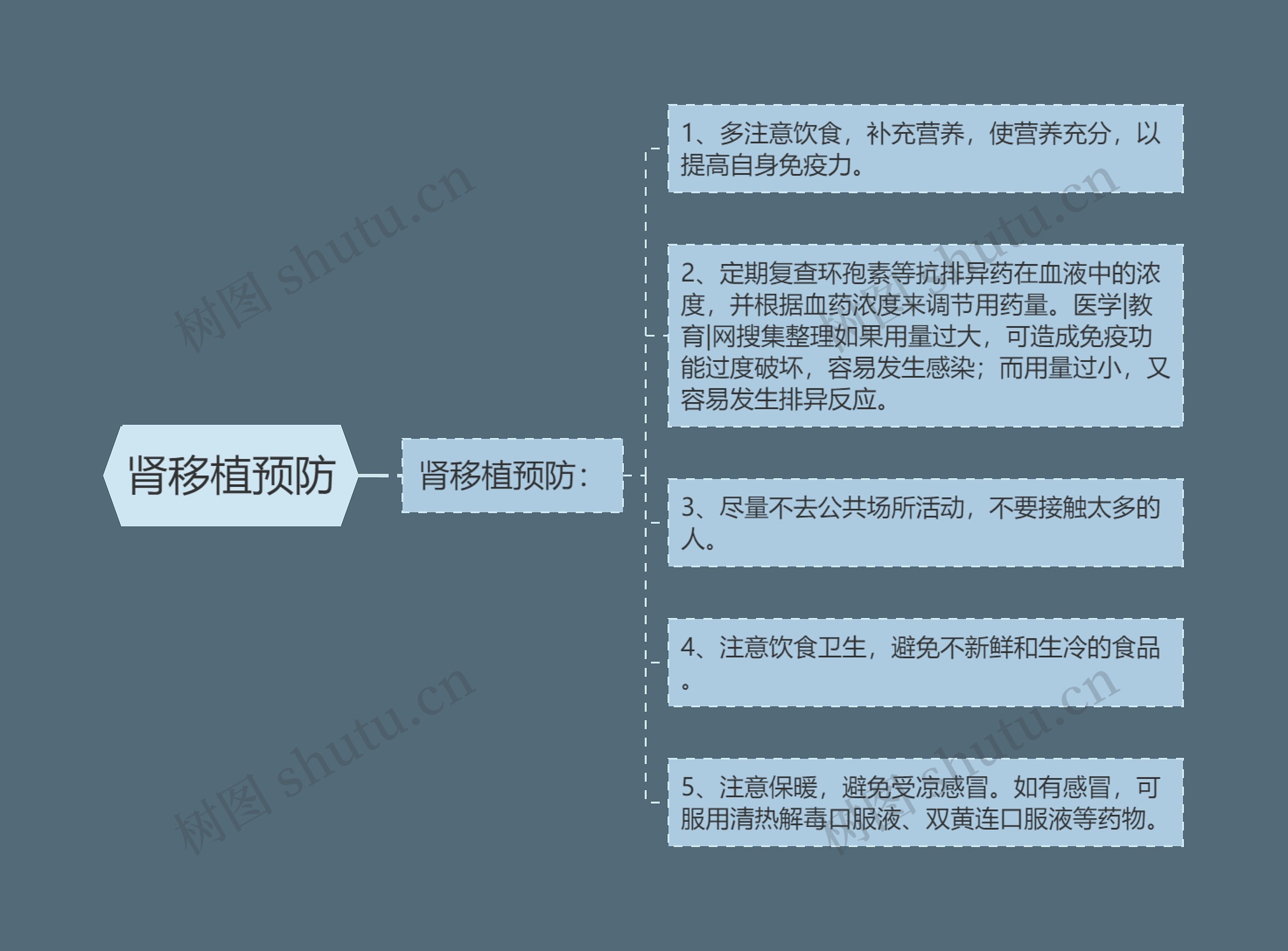 肾移植预防思维导图