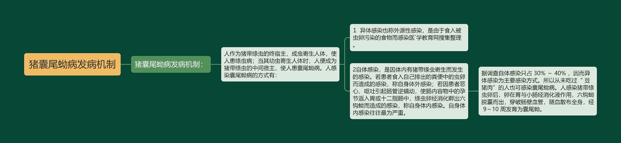 猪囊尾蚴病发病机制思维导图