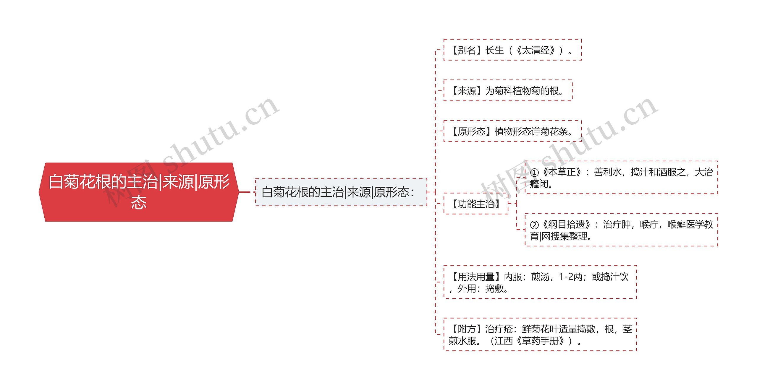 白菊花根的主治|来源|原形态 白菊花根的主治|来源|原形态