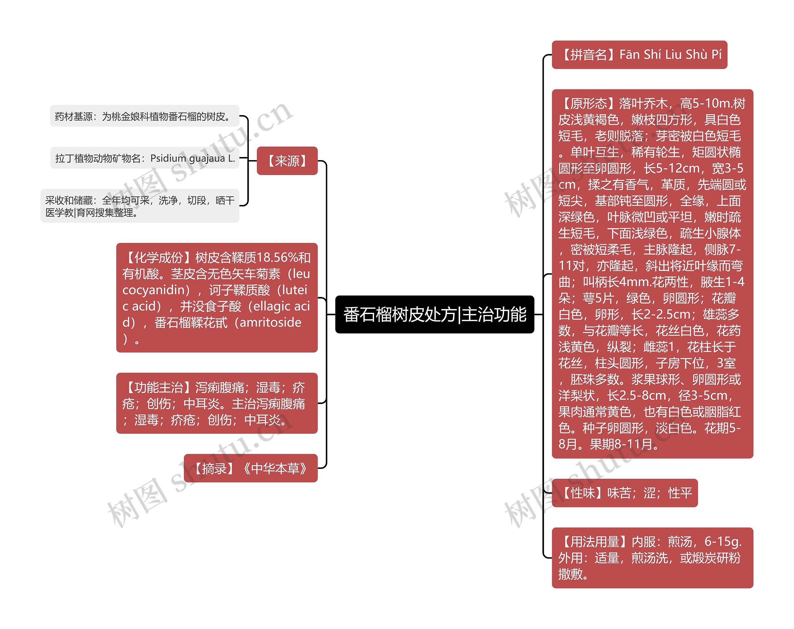 番石榴树皮处方|主治功能思维导图