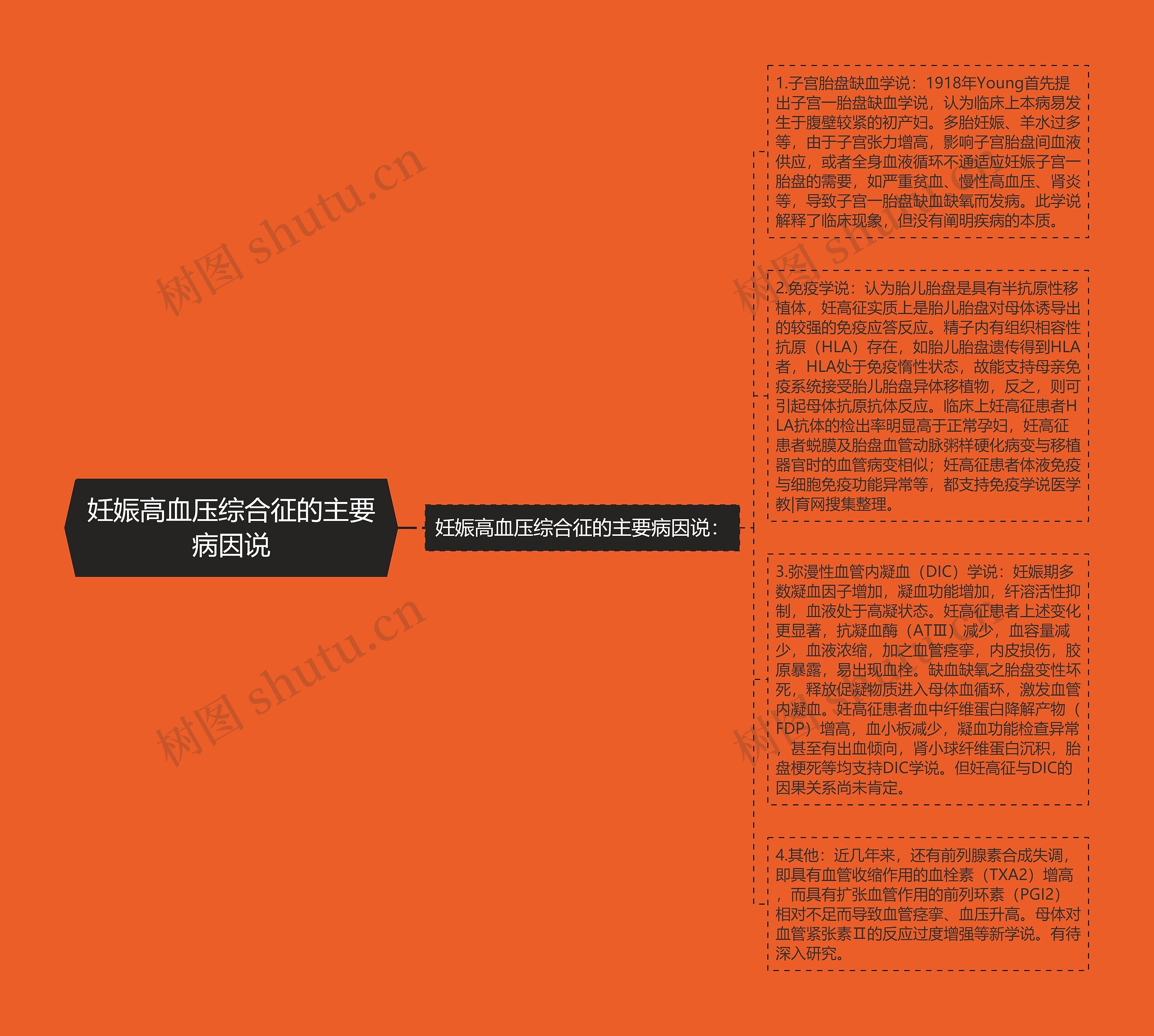 妊娠高血压综合征的主要病因说