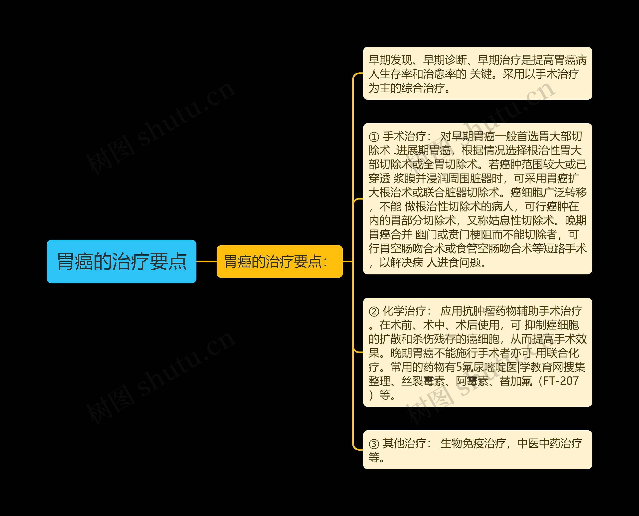 胃癌的治疗要点 胃癌的治疗要点