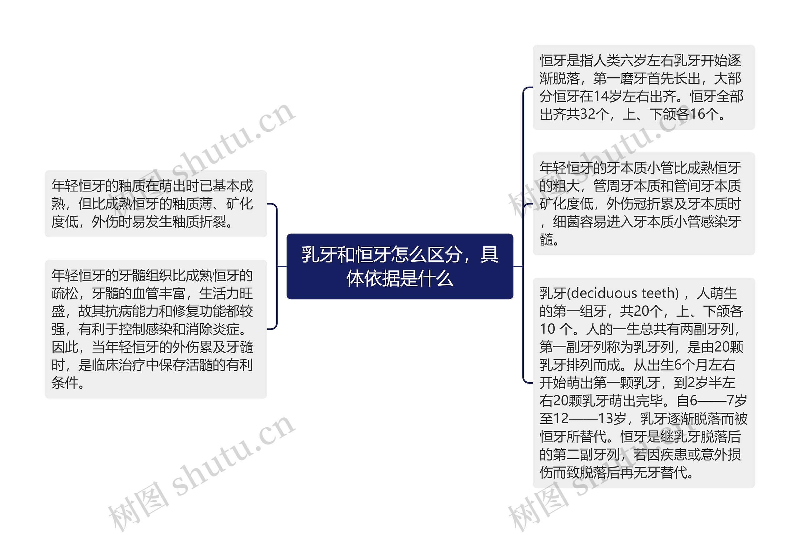 乳牙和恒牙怎么区分,具体依据是什么 乳牙和恒牙怎么区分,具体依据是什么