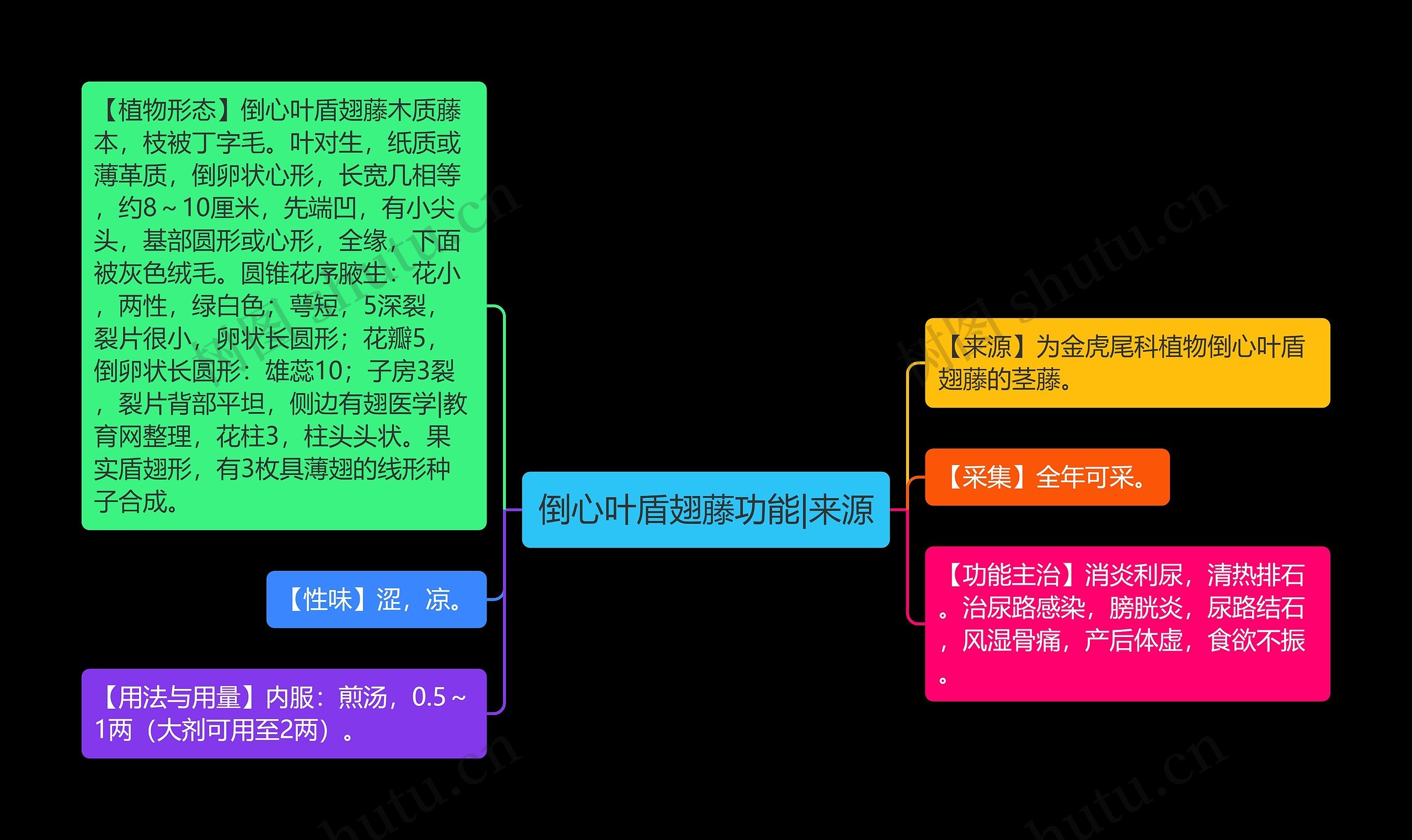 倒心叶盾翅藤功能|来源思维导图