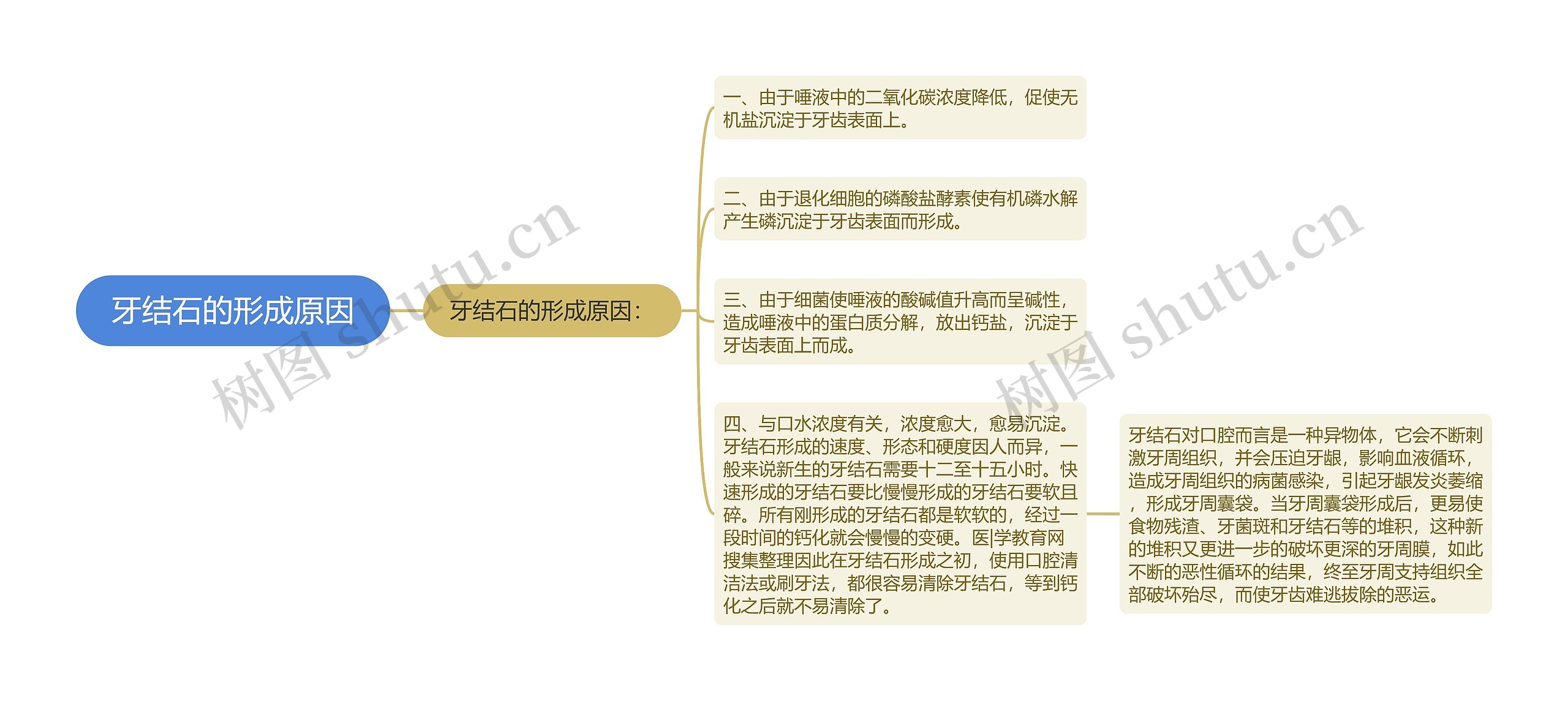 牙结石的形成原因 牙结石的形成原因