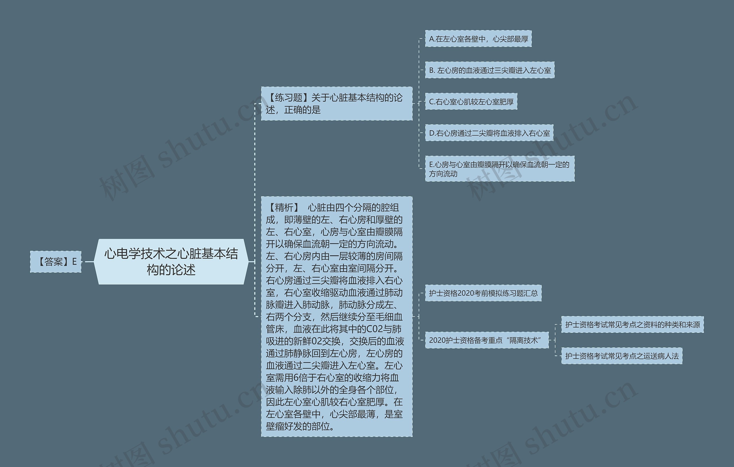 心电学技术之心脏基本结构的论述思维导图