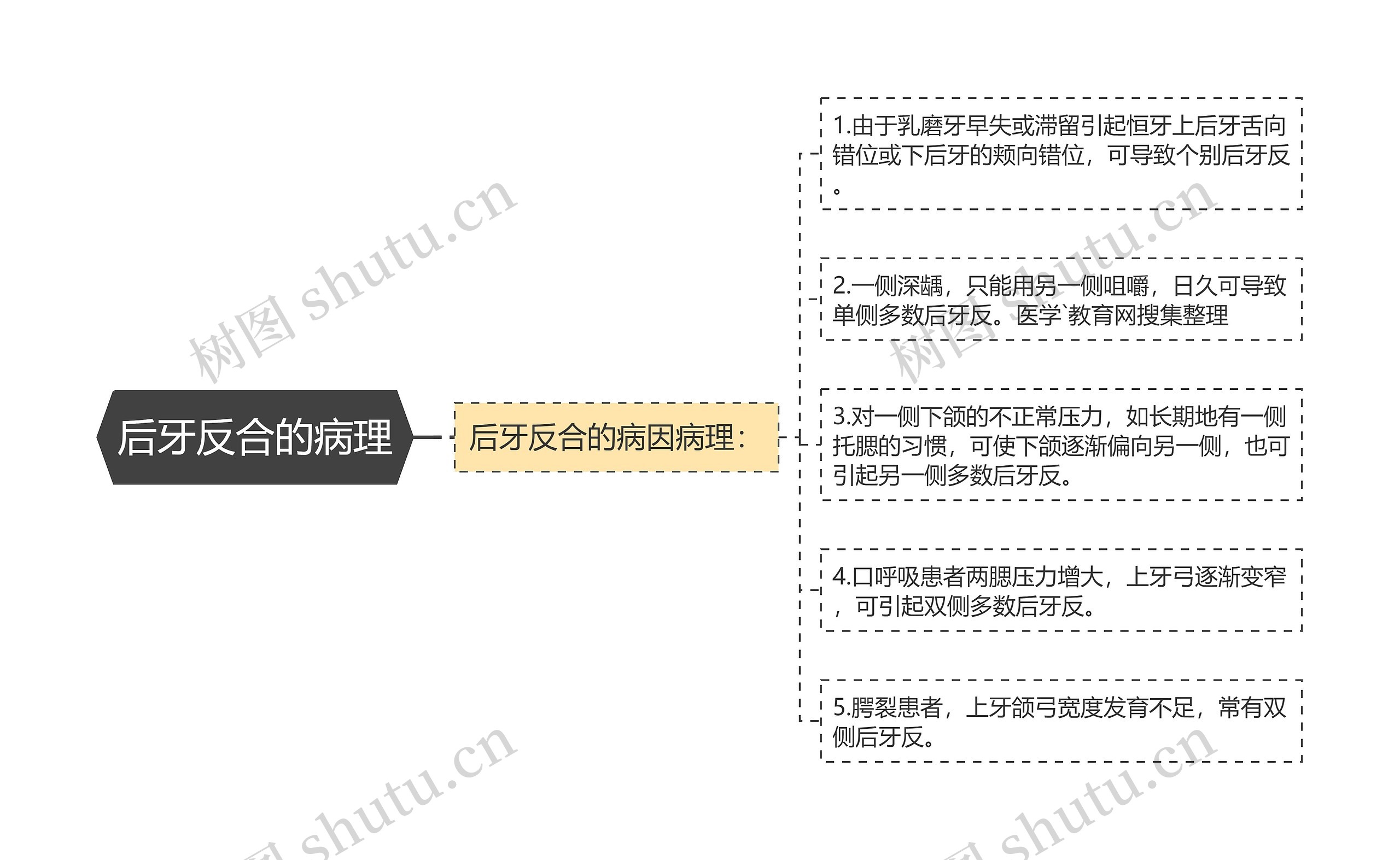 后牙反合的病理思维导图