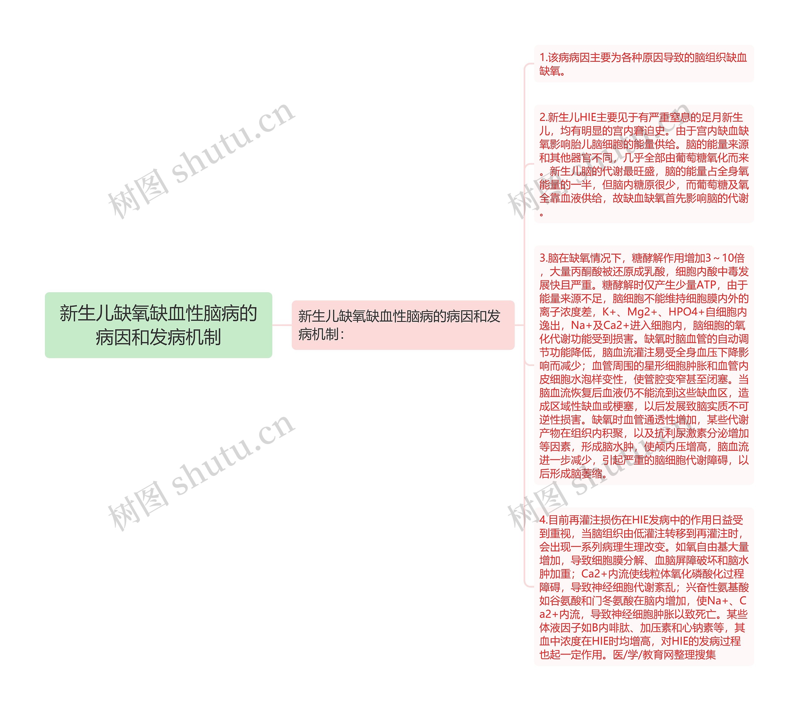 新生儿缺氧缺血性脑病的病因和发病机制思维导图