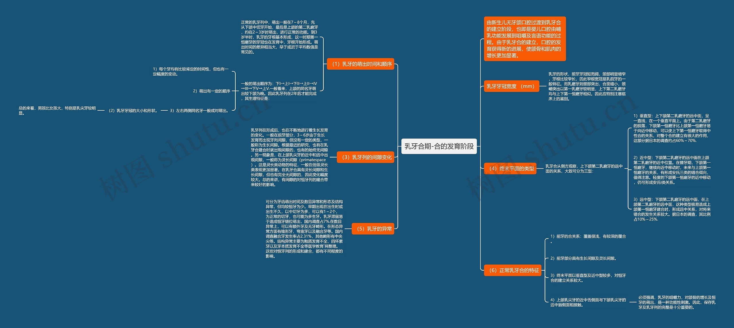 乳牙合期-合的发育阶段思维导图
