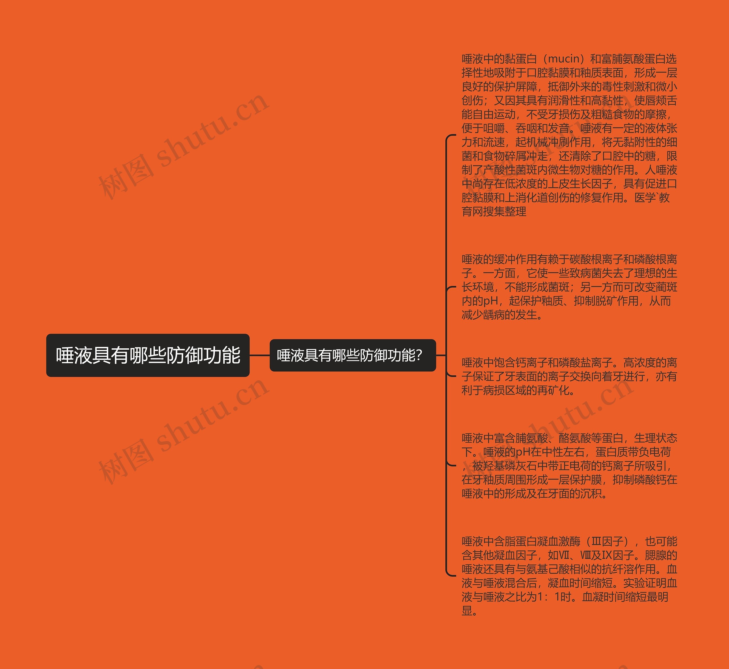 唾液具有哪些防御功能