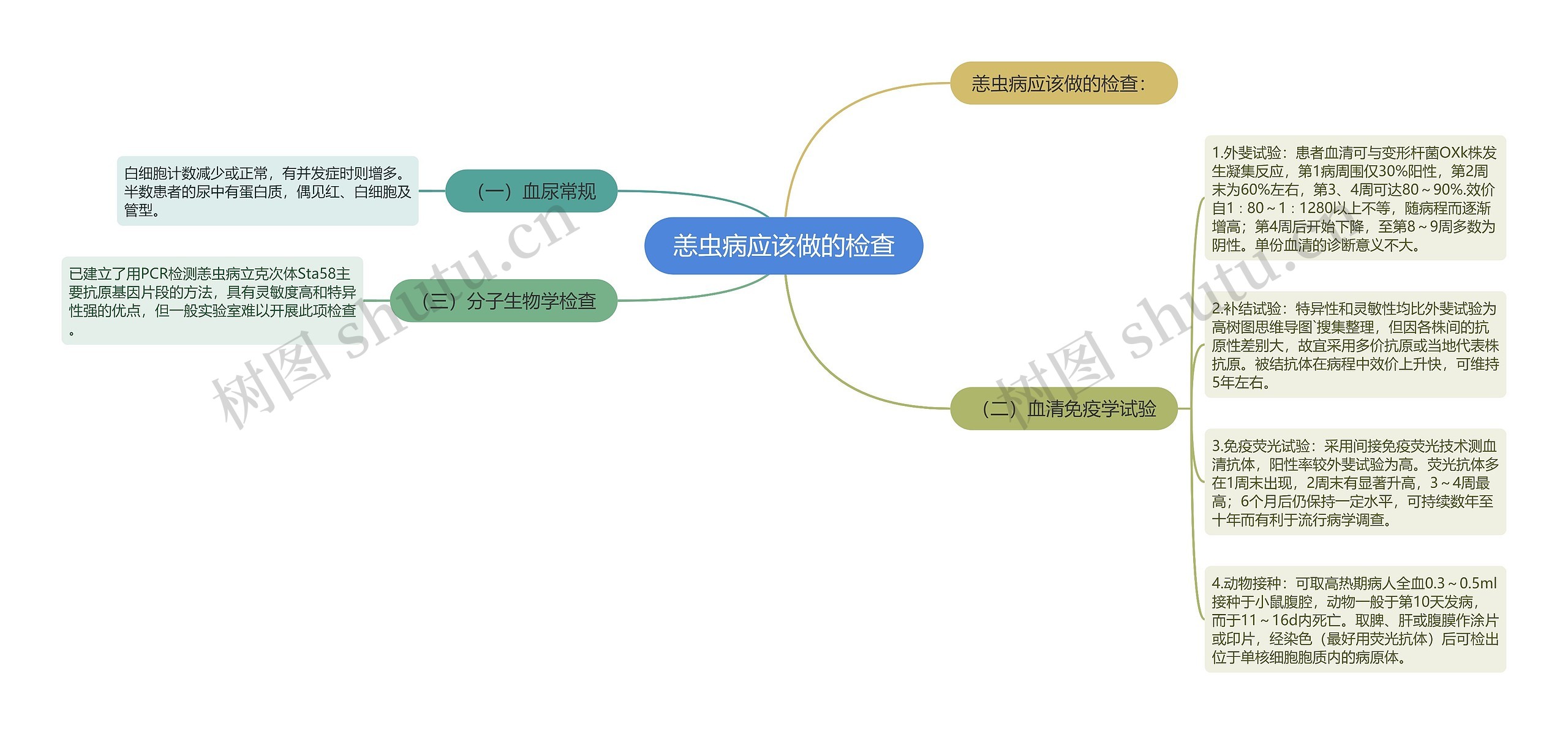 恙虫病应该做的检查思维导图