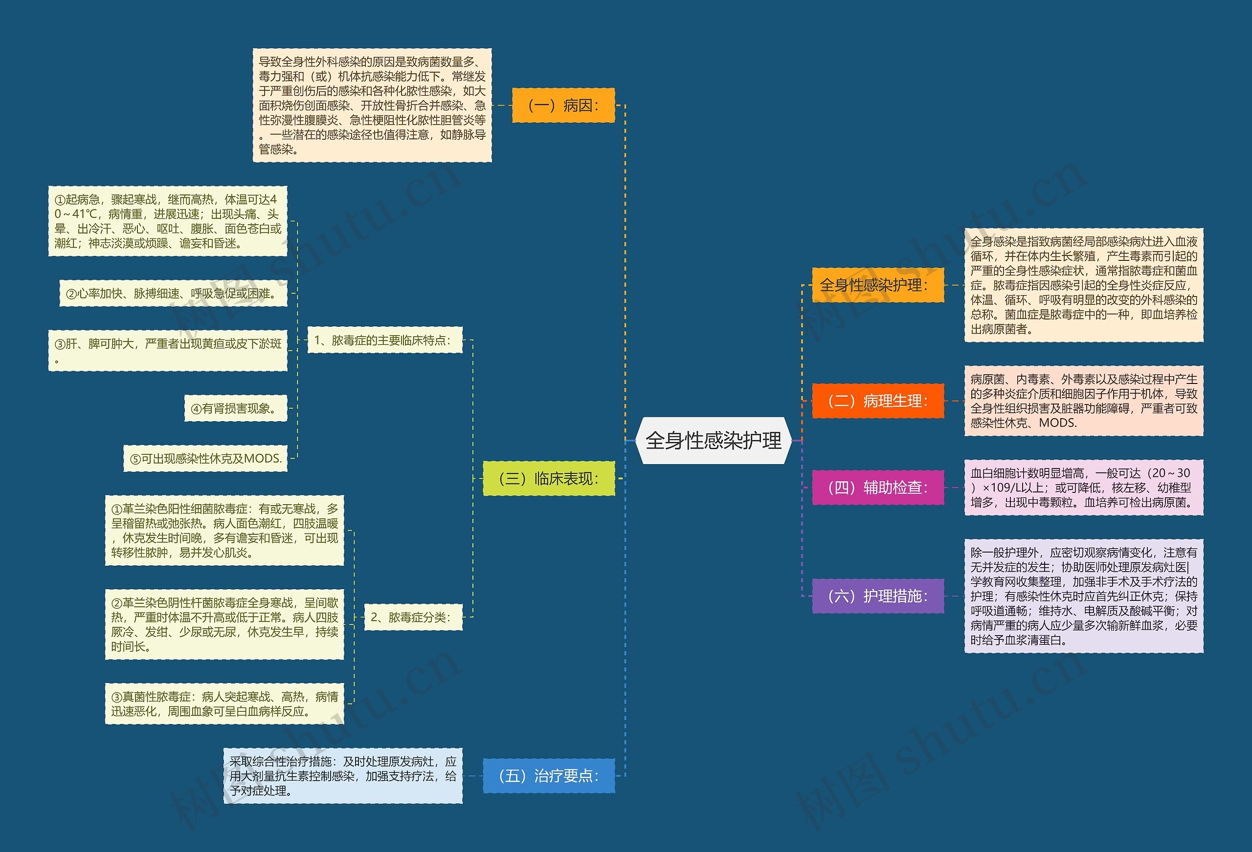 全身性感染护理思维导图